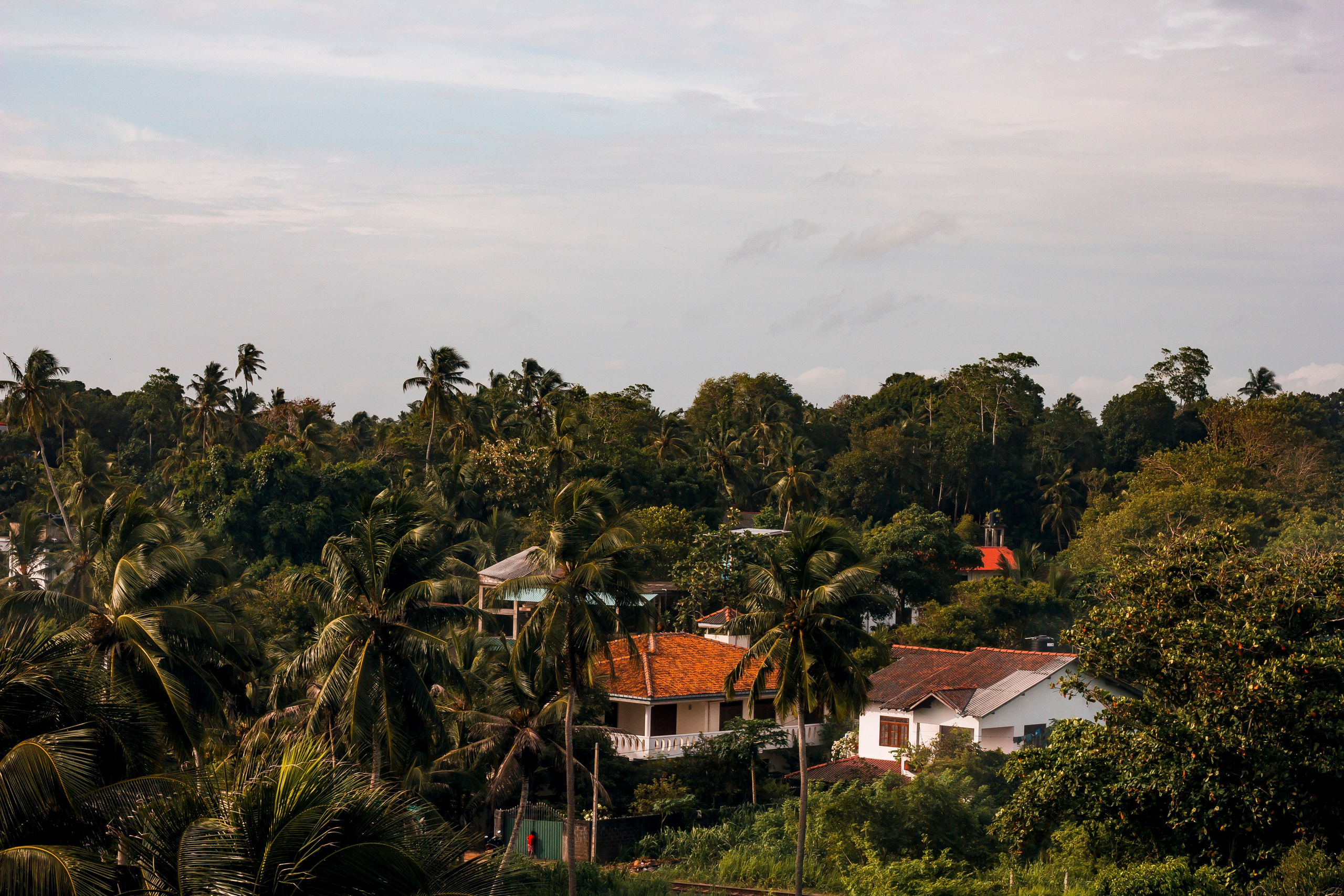 Sri Lanka. Art Photographer