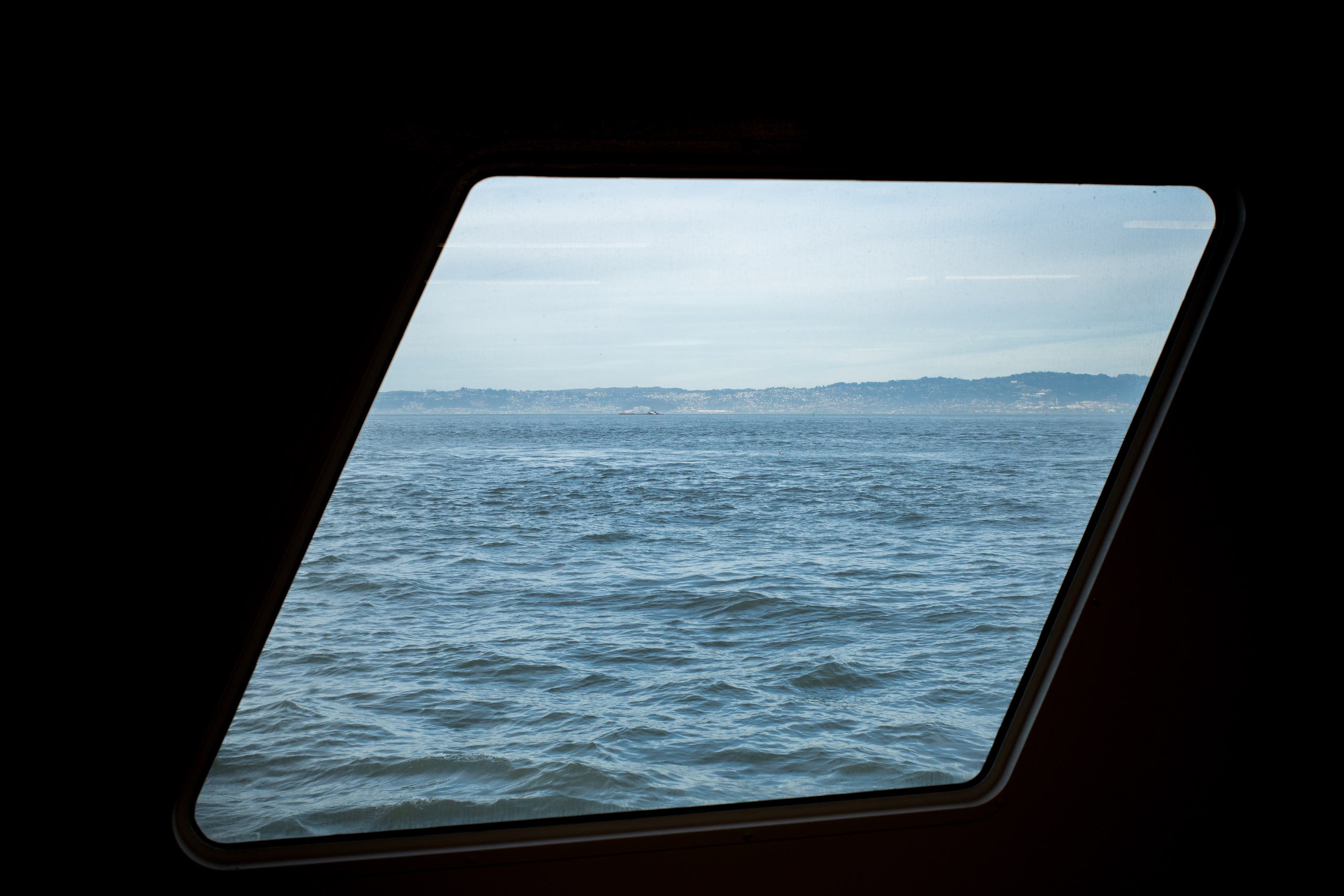 San Francisco. Aleks.photo | Book a photoshoot