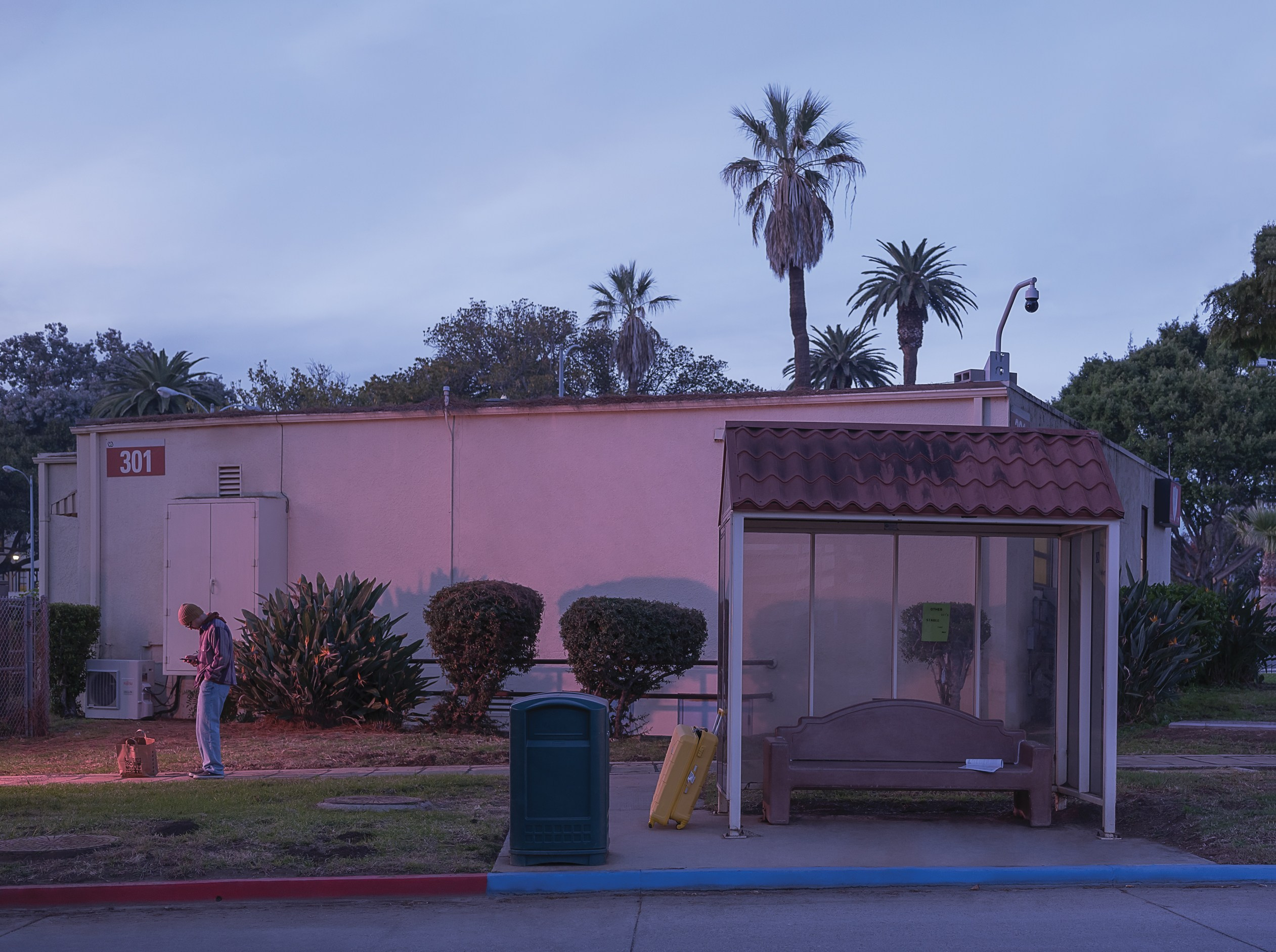 Occasional equilibrium. Marta Ladokhina