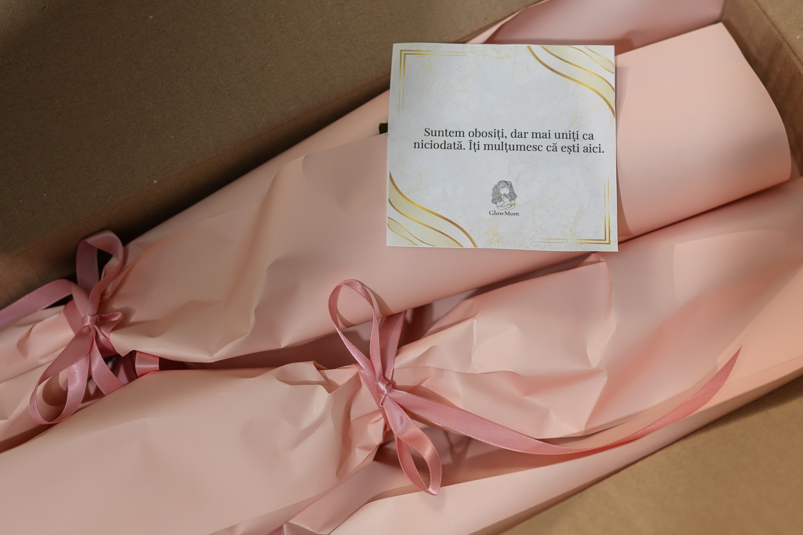 Glo Mom 1. Marius Ciocan