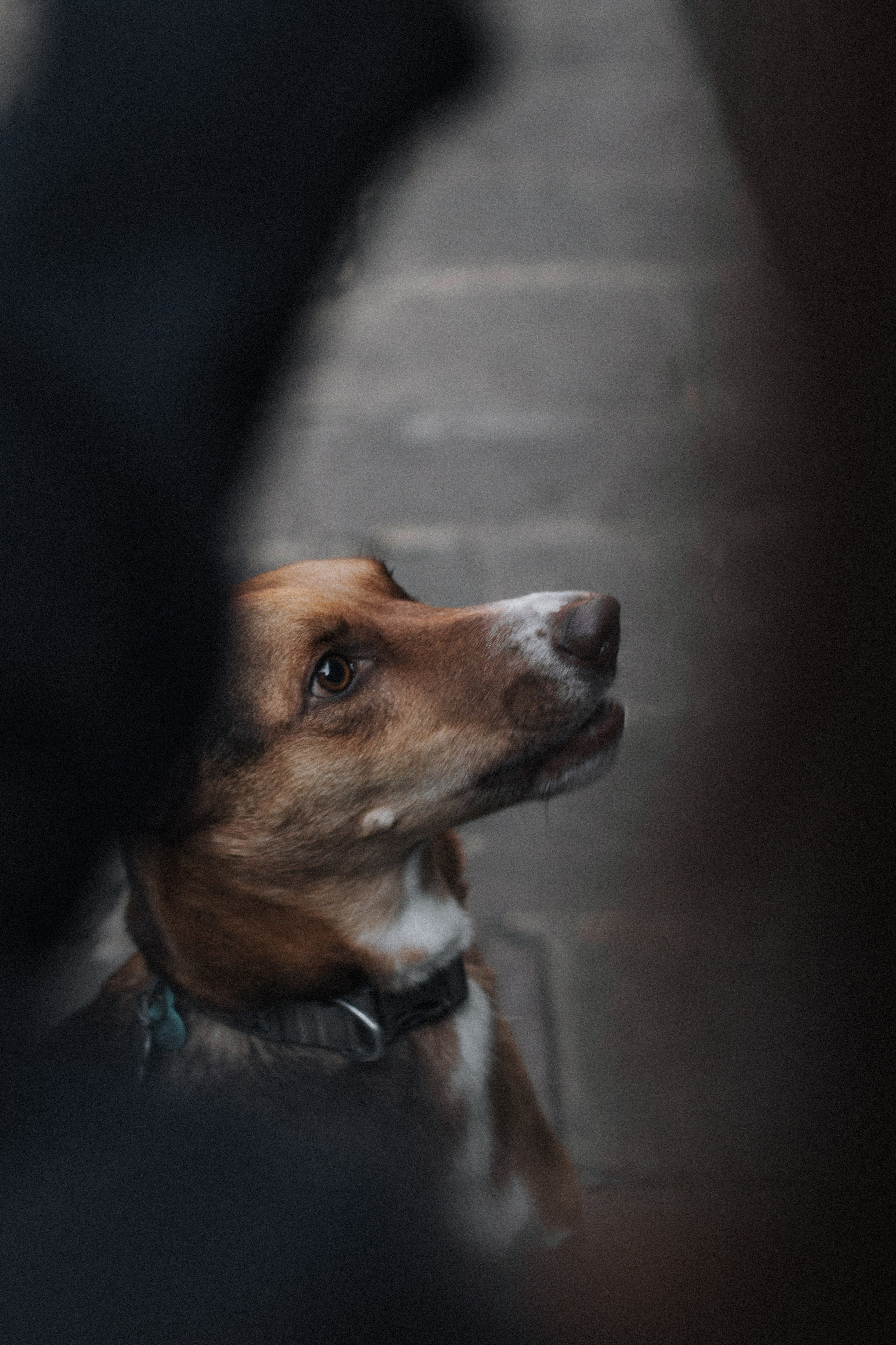 Старый город, Барселона. Главная