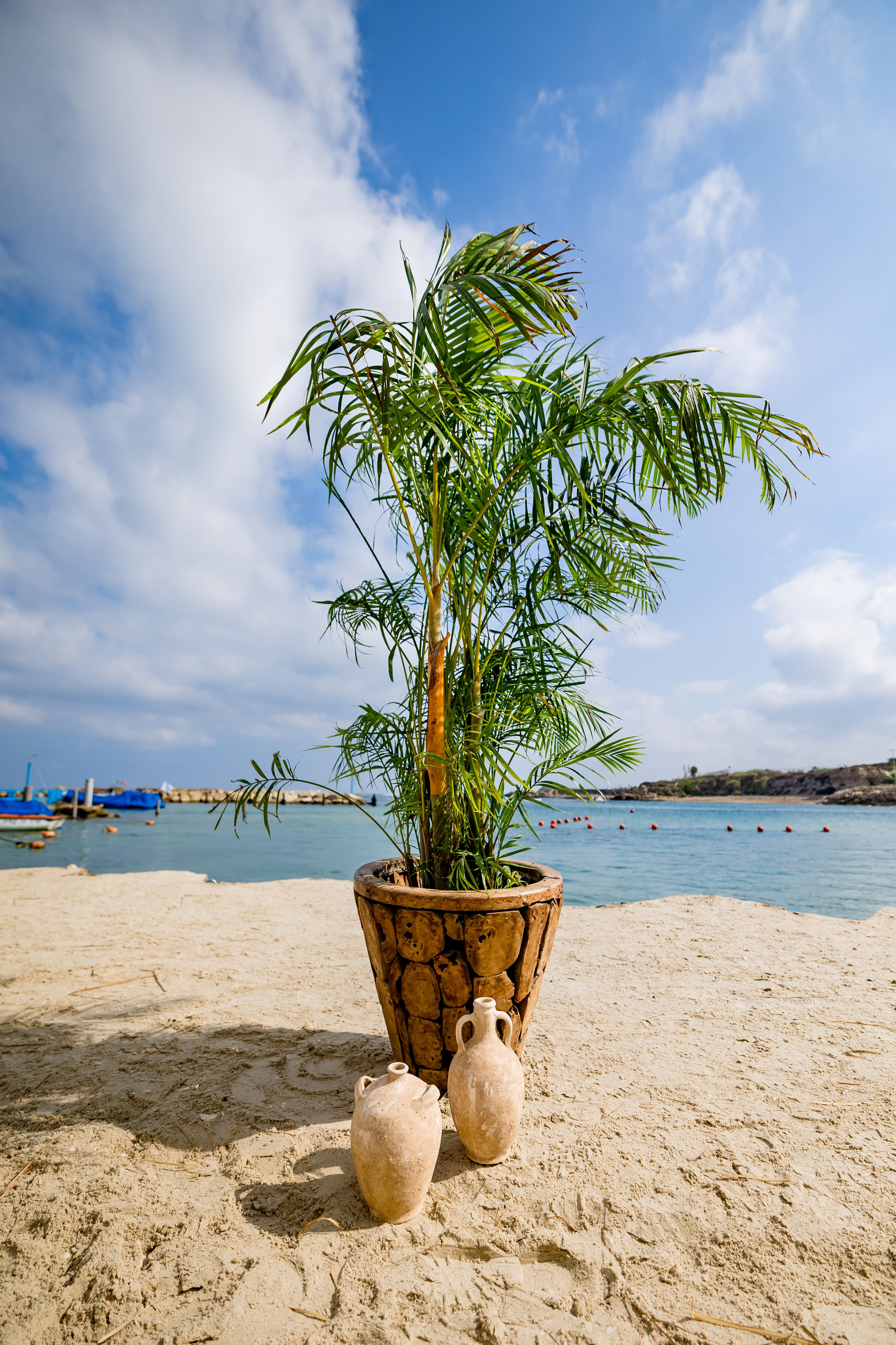 Qualcomm 2024 summer event. AMIR BUCHNIK PHOTOGRAPHER