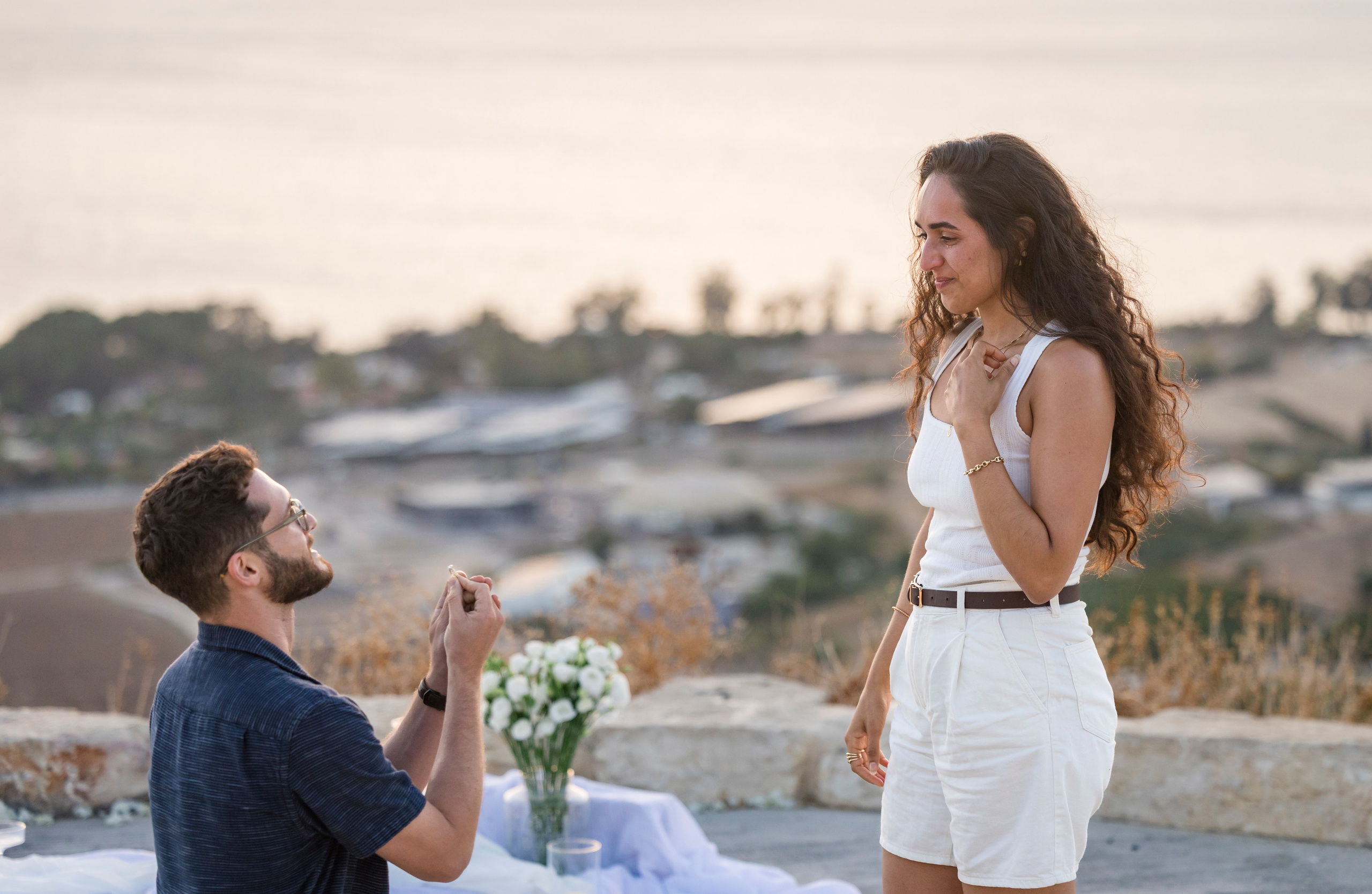 Lee & Segev Proposal