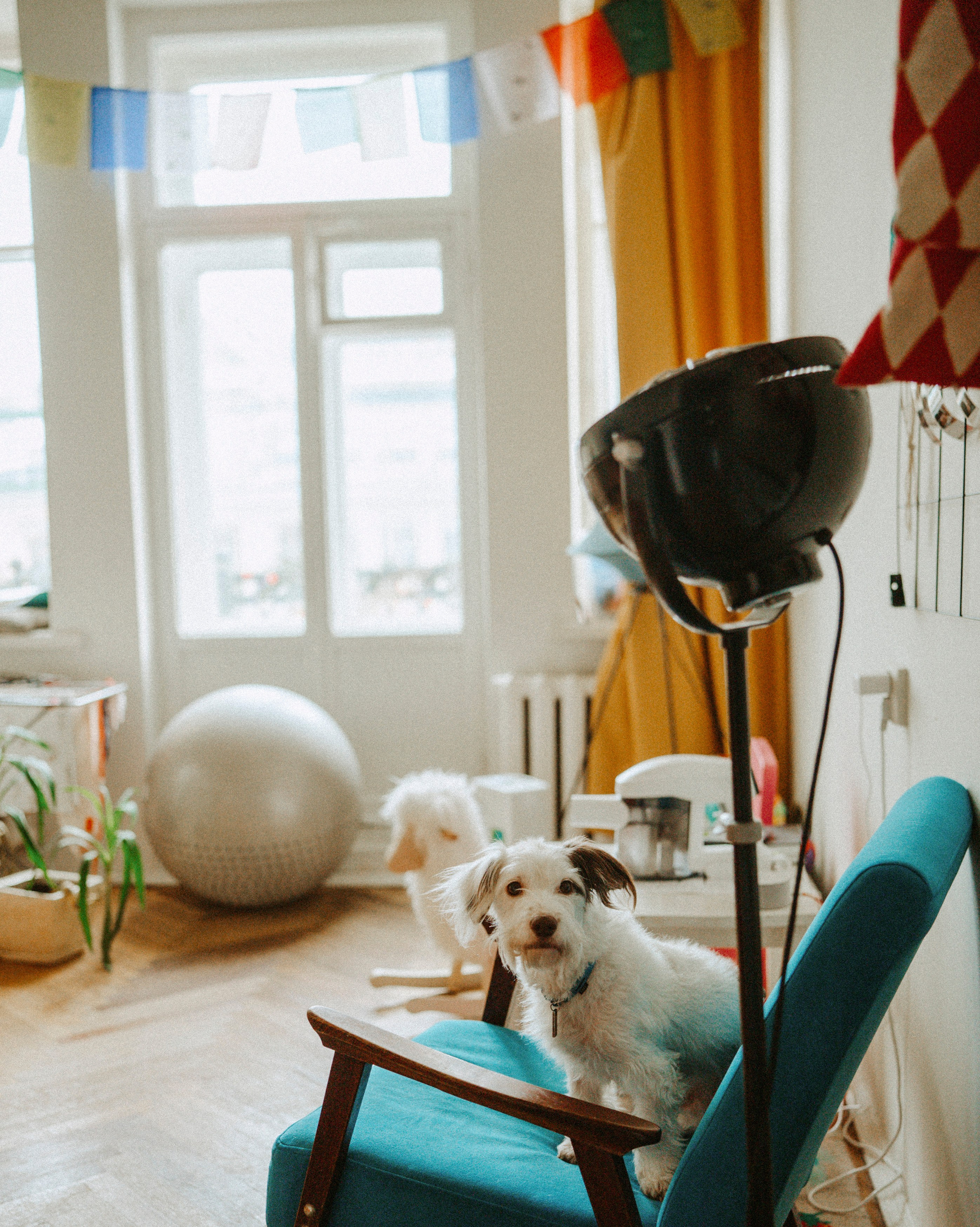 2025. Стрит-фотография, полная абсурда, идиотизма и красоты