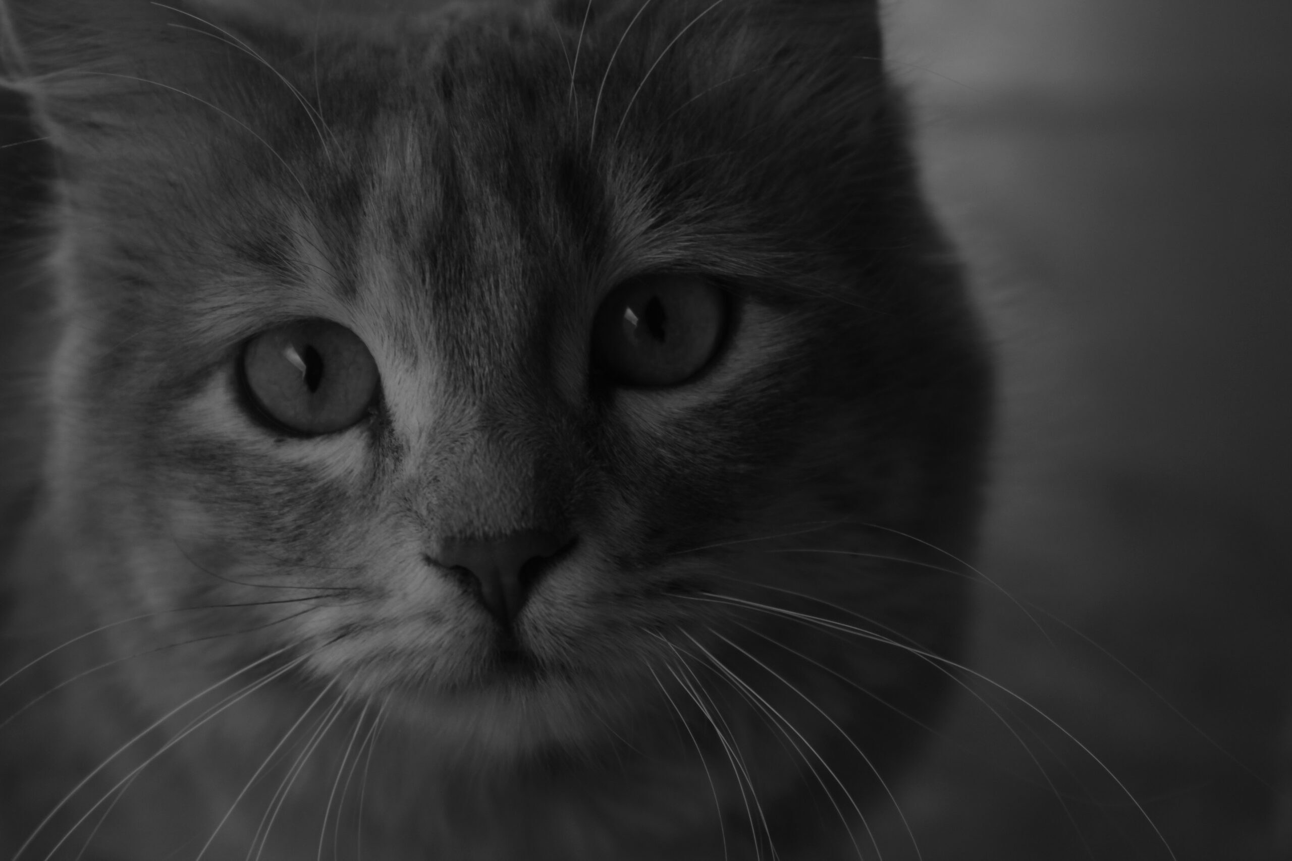 Landscape. Noam Paradise Photographer