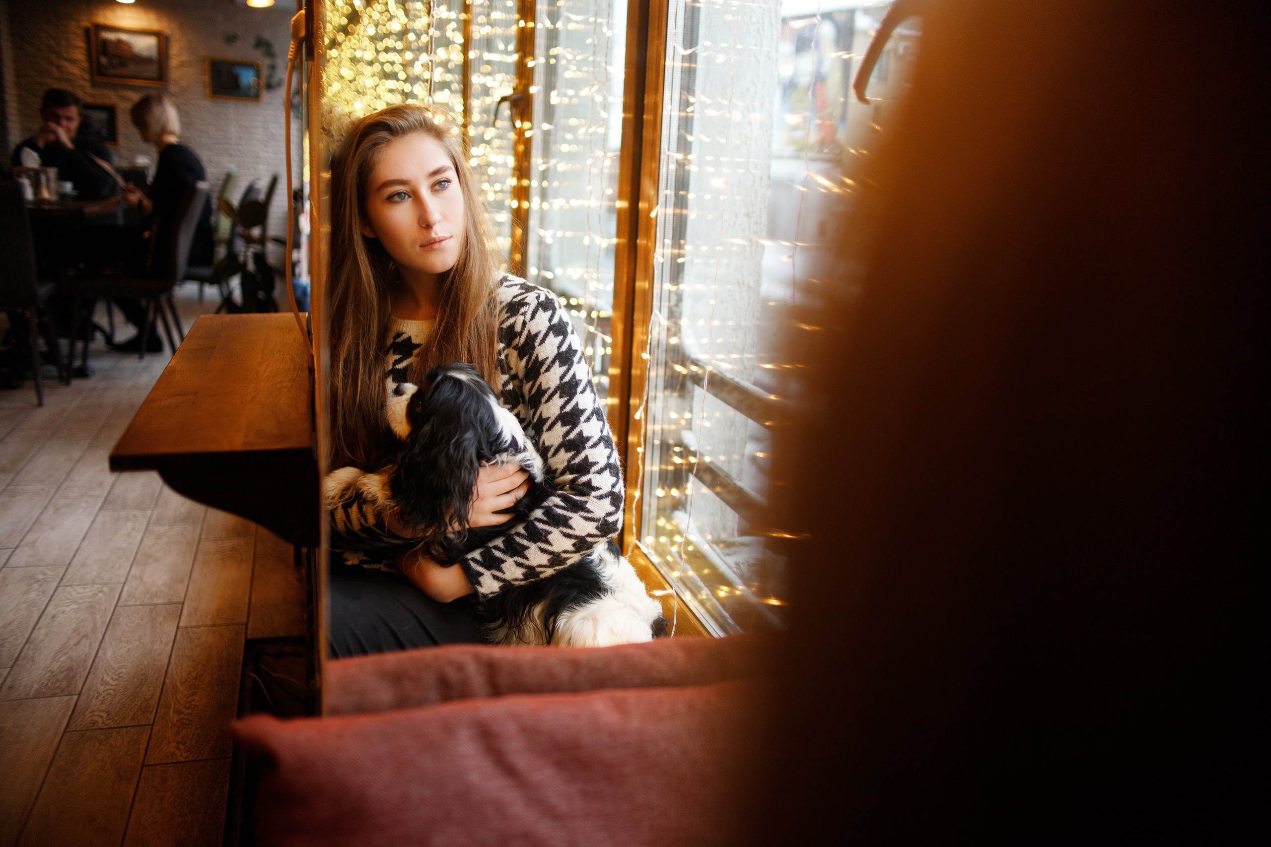 Uliana & winter spaniels. Kaja | fotograf psów we Wrocławiu