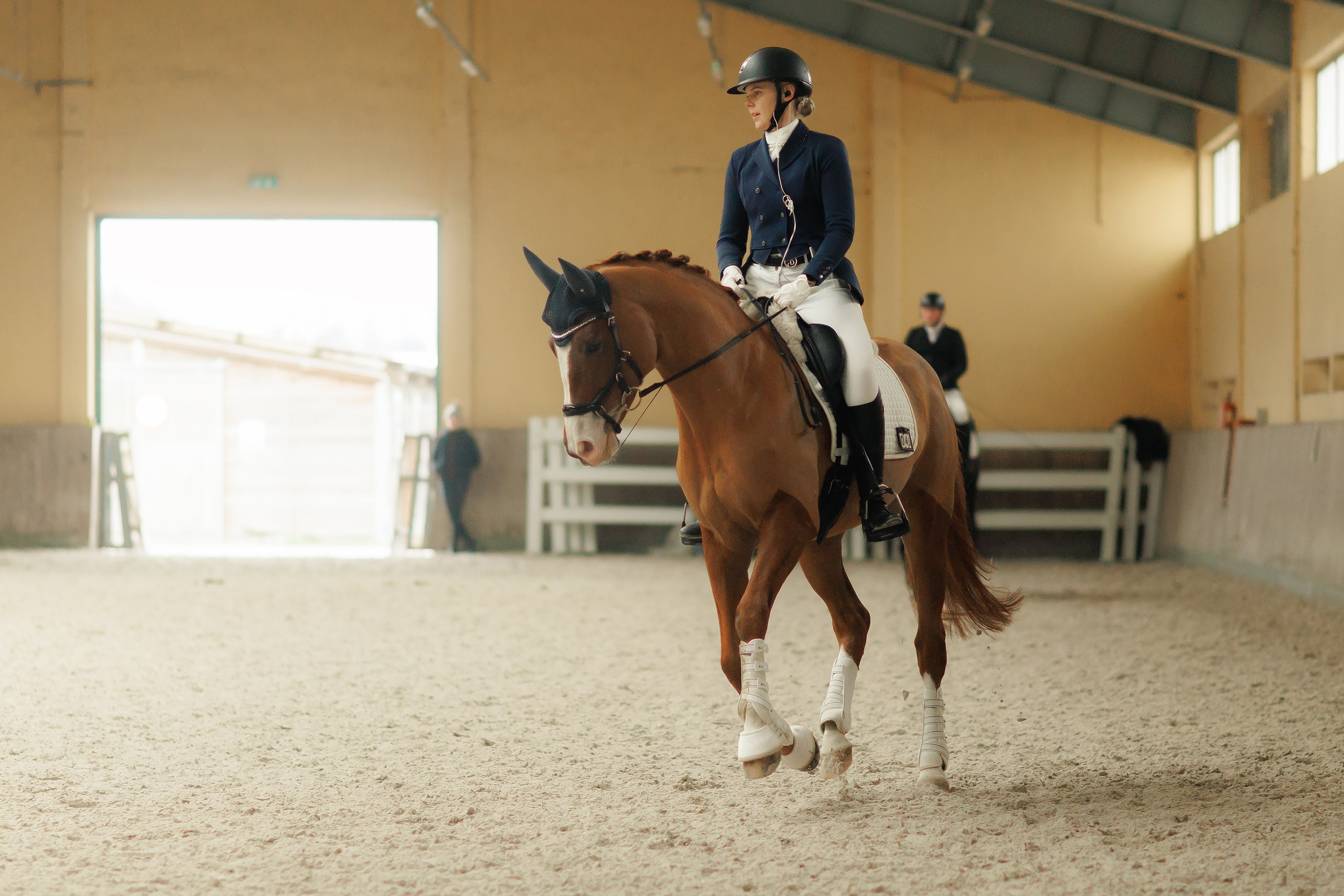 Partynice dressage \ feb'25. Kaja | fotograf we Wrocławiu | ludzie i psy