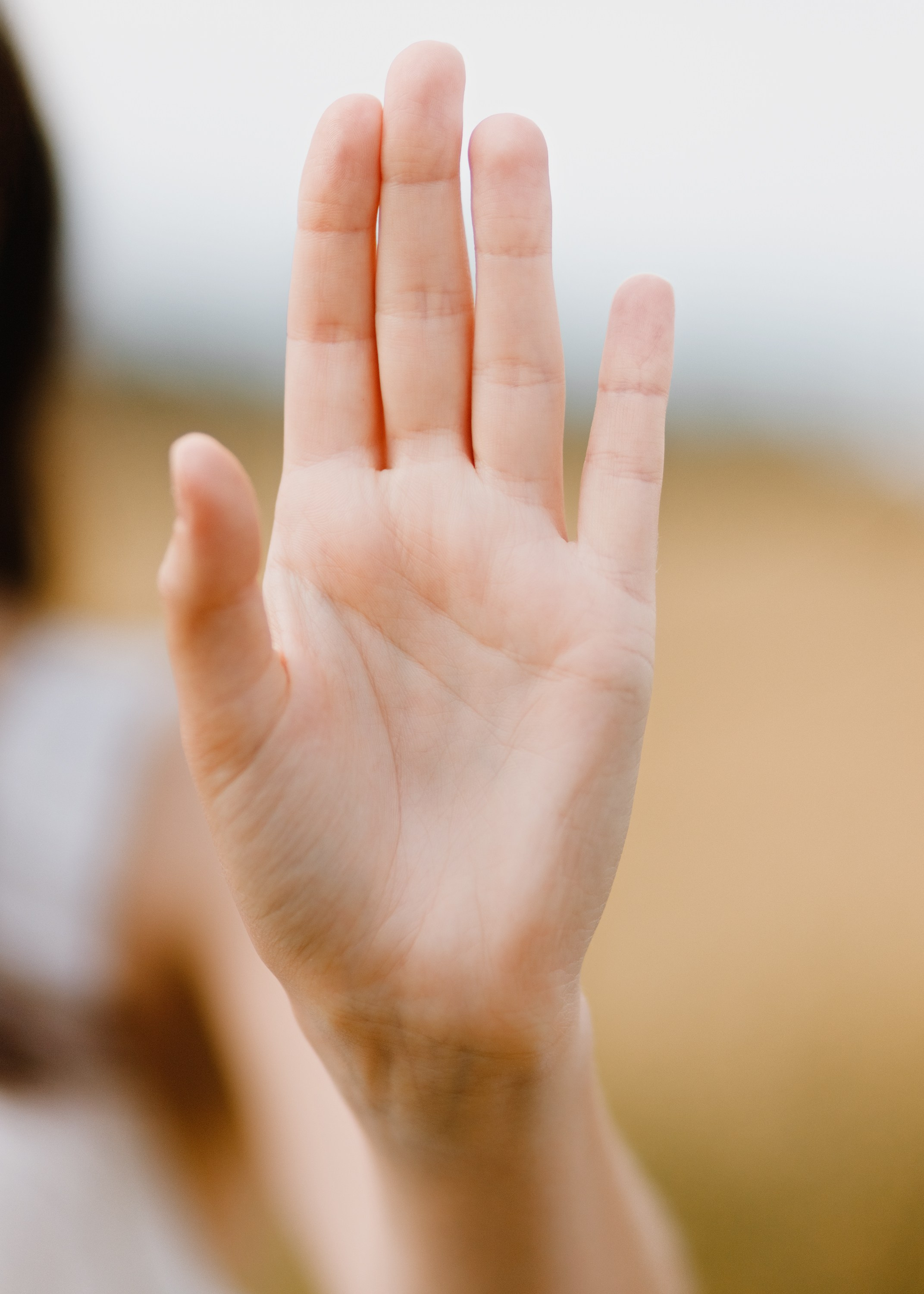 Katya | tenderness in the field. Kaja | fotograf psów we Wrocławiu