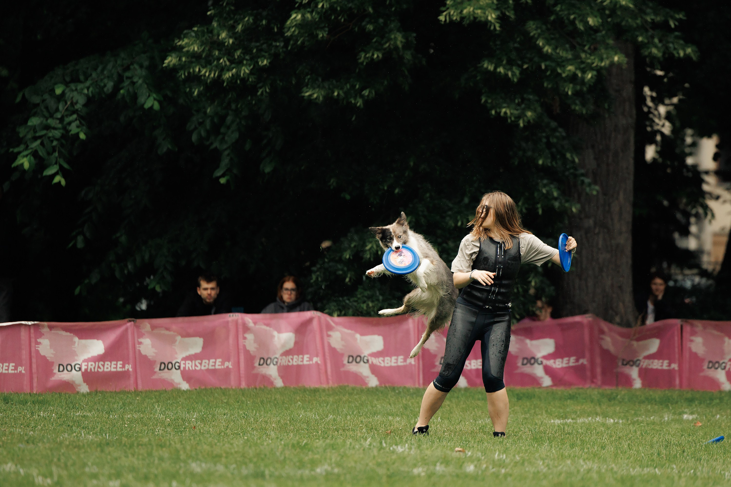 Latające psy, Wrocław'25. Kaja | fotograf psów we Wrocławiu