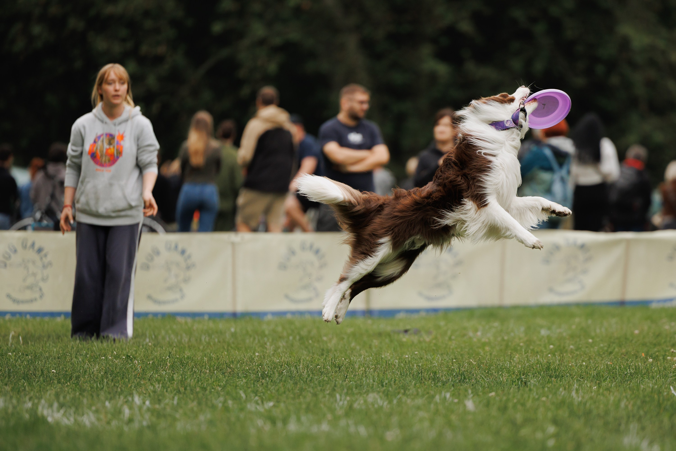 Latające psy, Wrocław'25. Kaja | fotograf psów we Wrocławiu