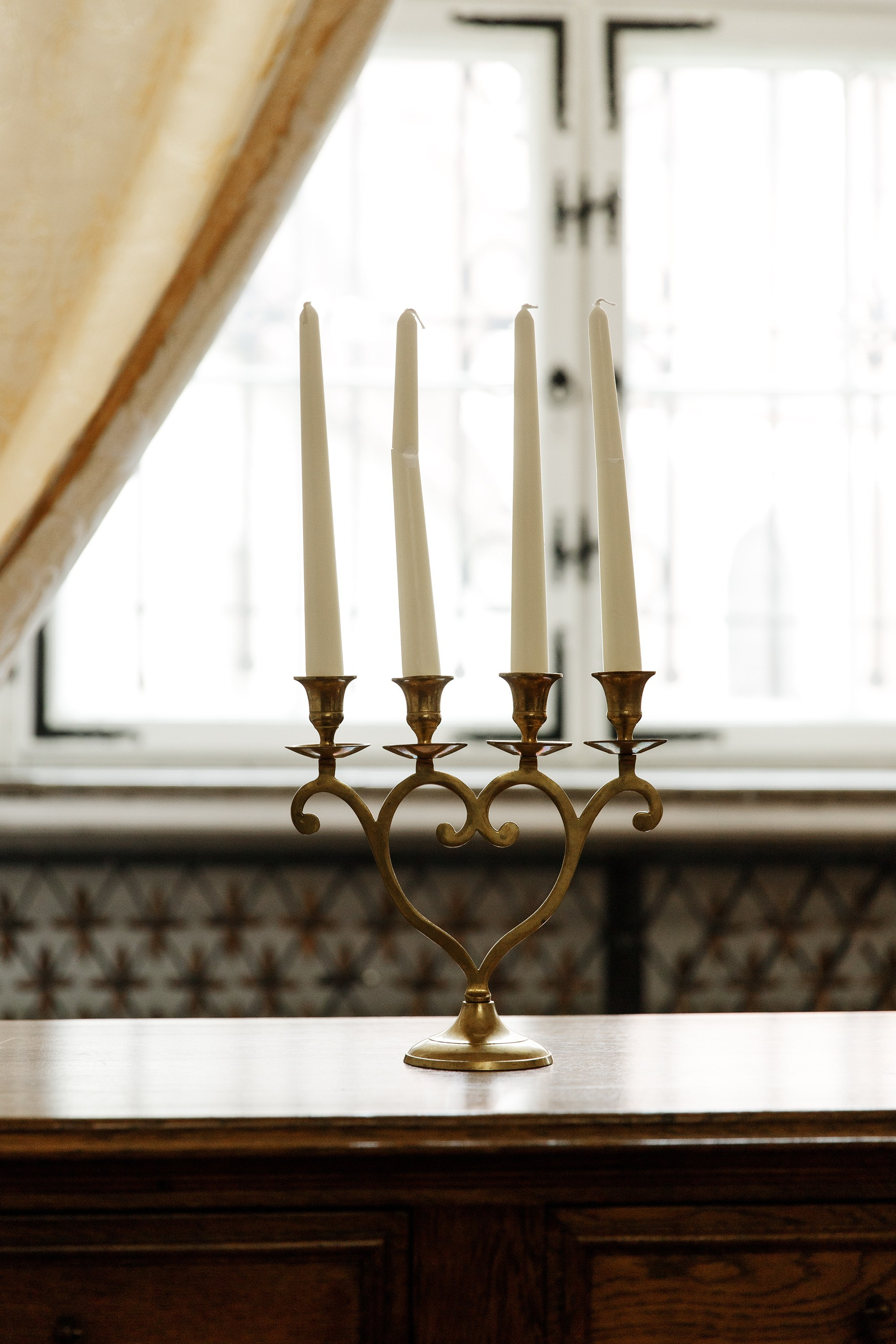 Oleśnica castle. Kaja | fotograf psów we Wrocławiu