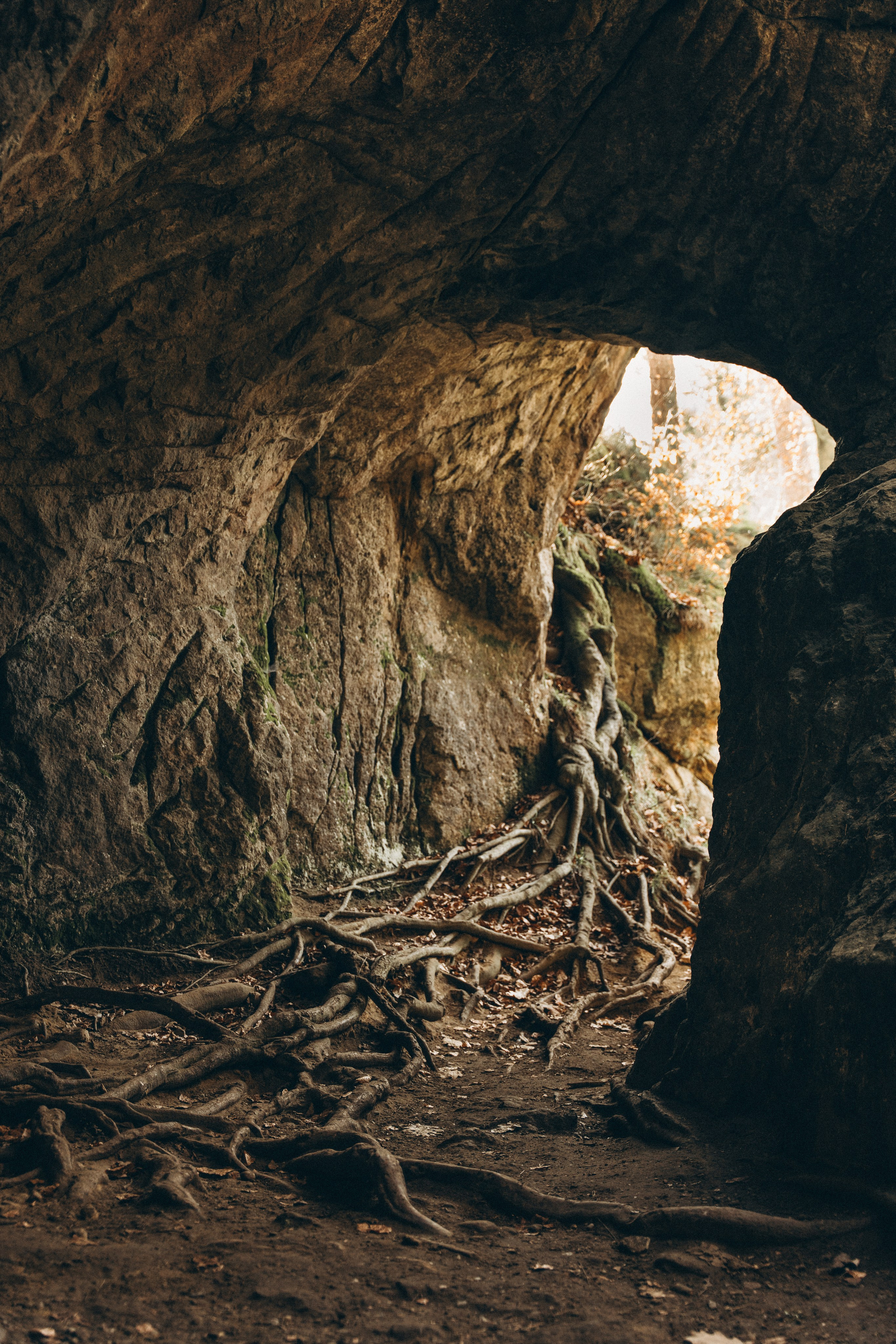 Müllerthal. Elena Seewald