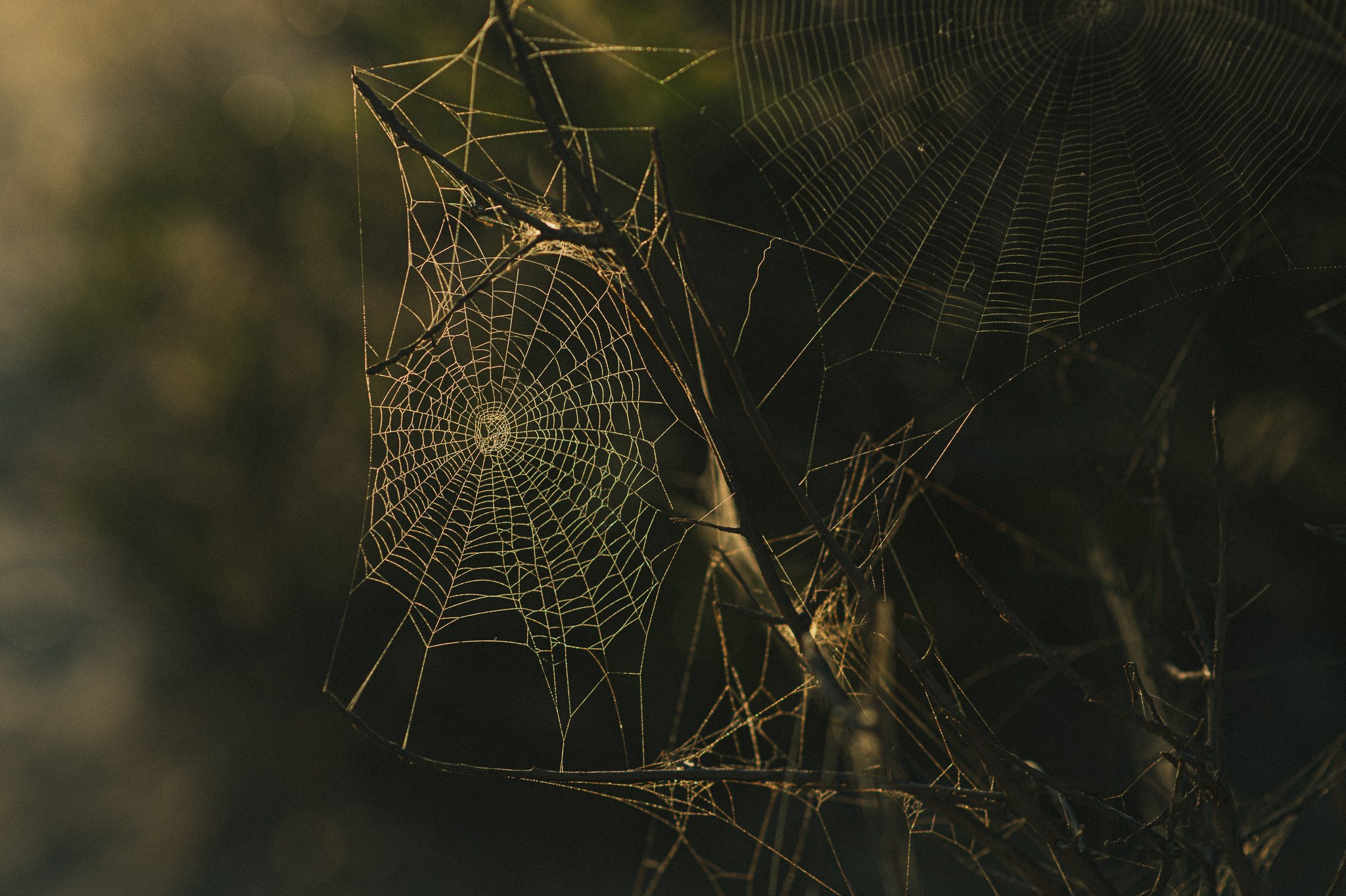 MANOELY — AREIAS. Fotografo de ensaios e casamentos