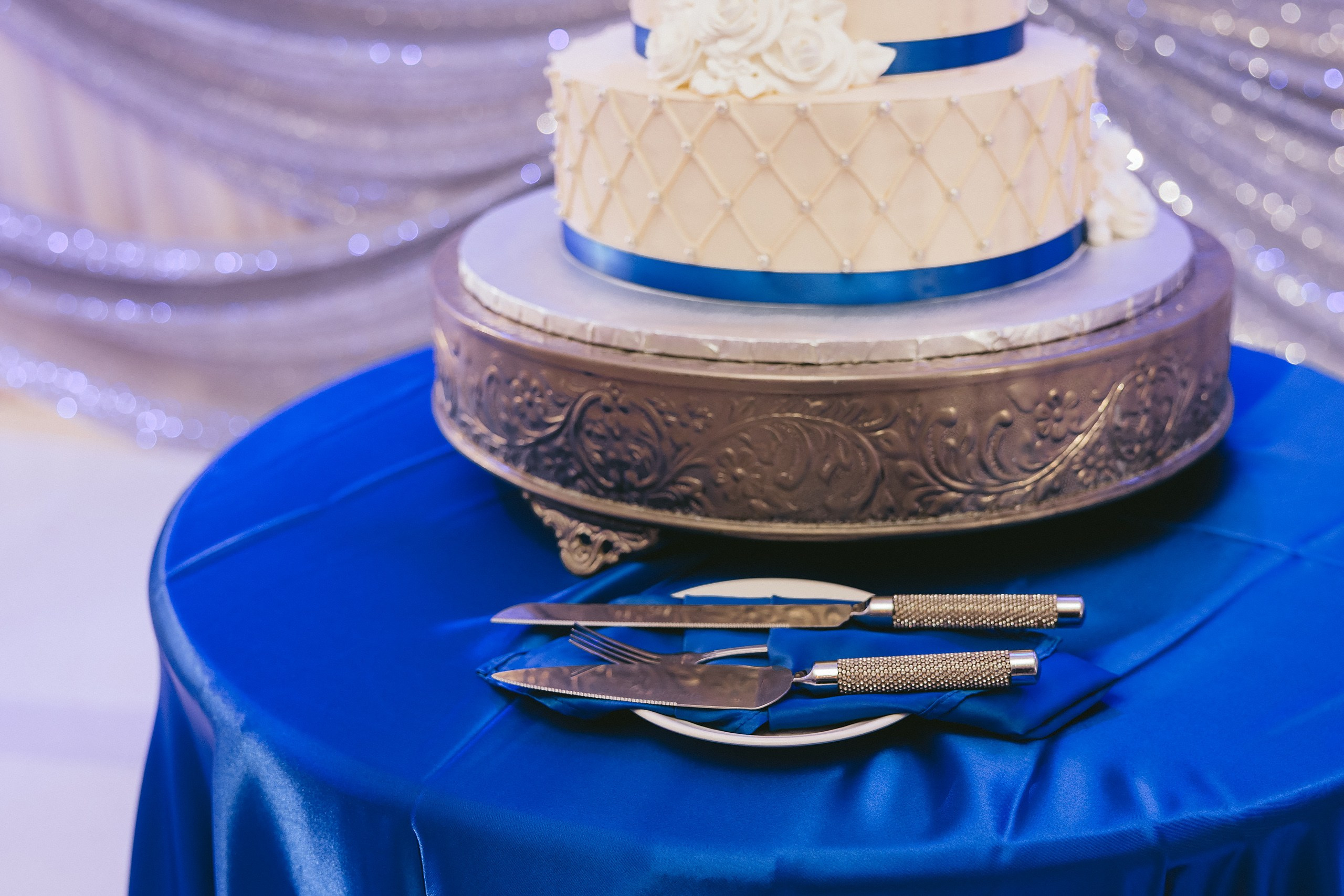 06.08.2025 Wedding. Wedding family event photographer in Chicago Nick Yushevich