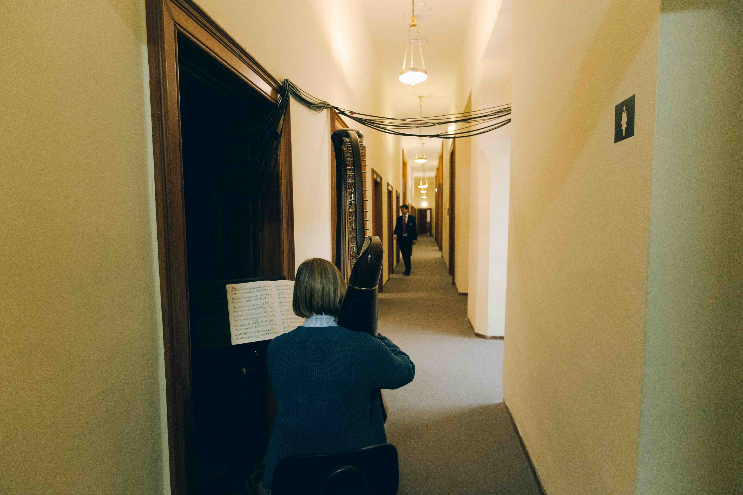 MUSIKVEREIN (VIENNA). Wedding&Event photographer Ismail Rzayev in Baku