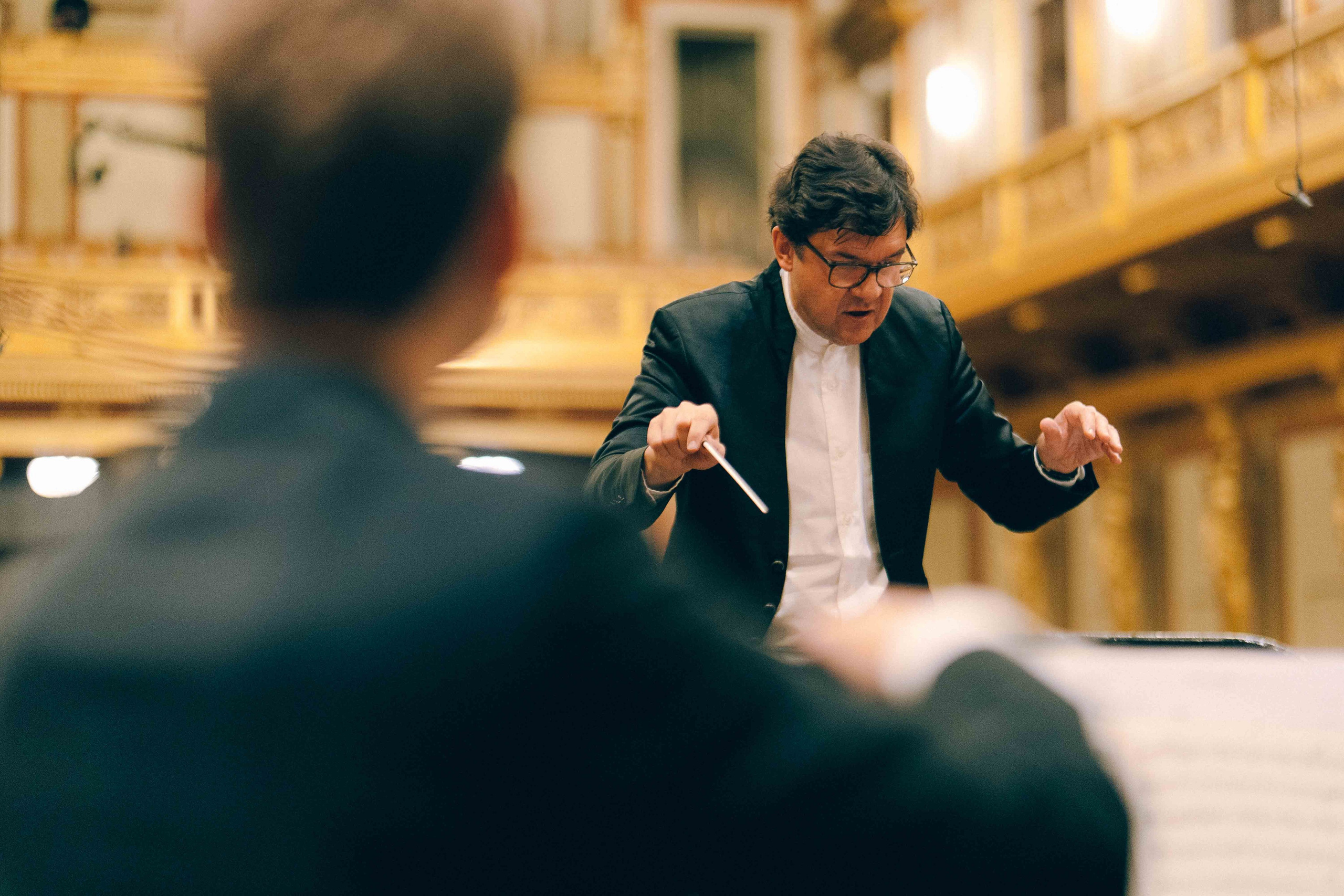 MUSIKVEREIN (VIENNA). Wedding&Event photographer Ismail Rzayev in Baku