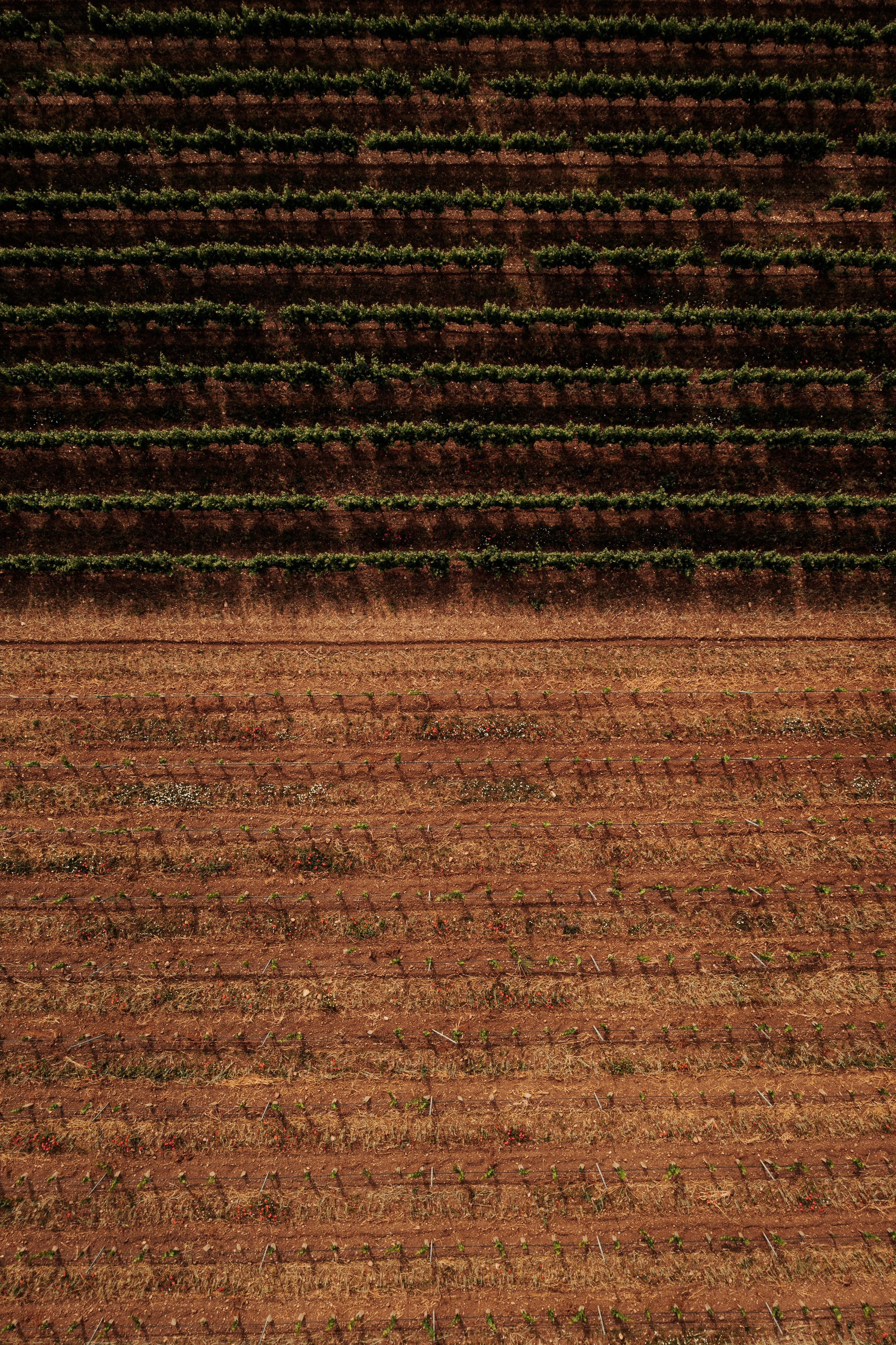 Estates Costa Lazaridi