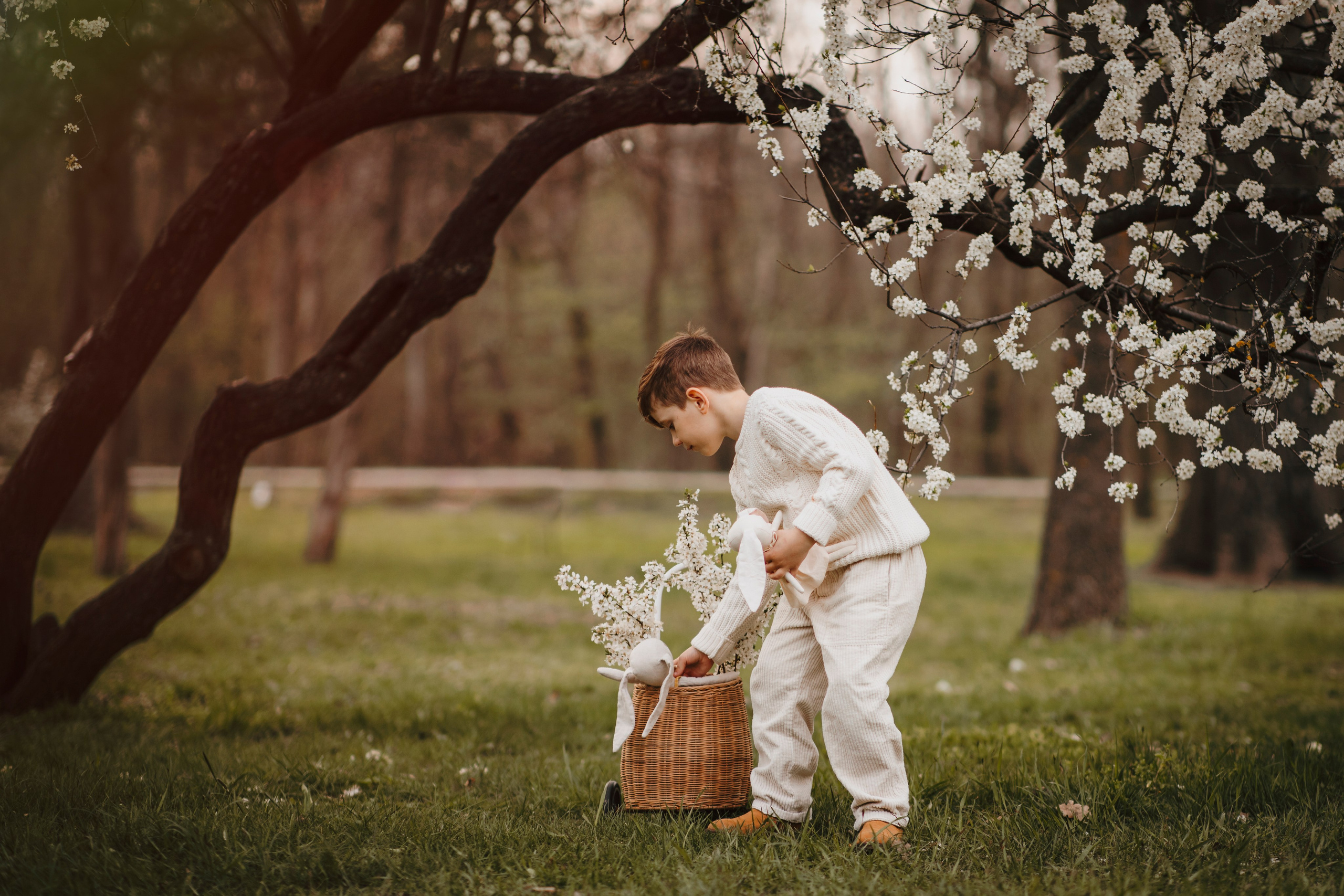 Sofia & Darius. Fotograf de eveniment din Buzău | Bogdan