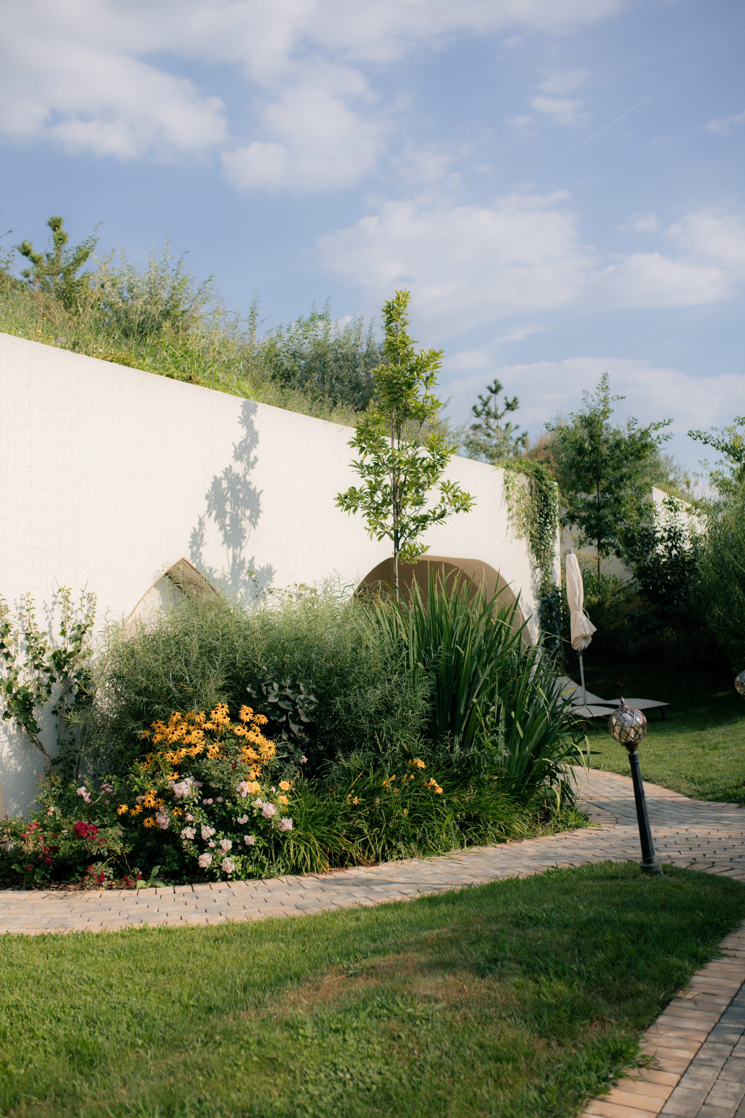 Casa Timis. Patricia Morenci — Mountain Adventures for the Wild at Heart