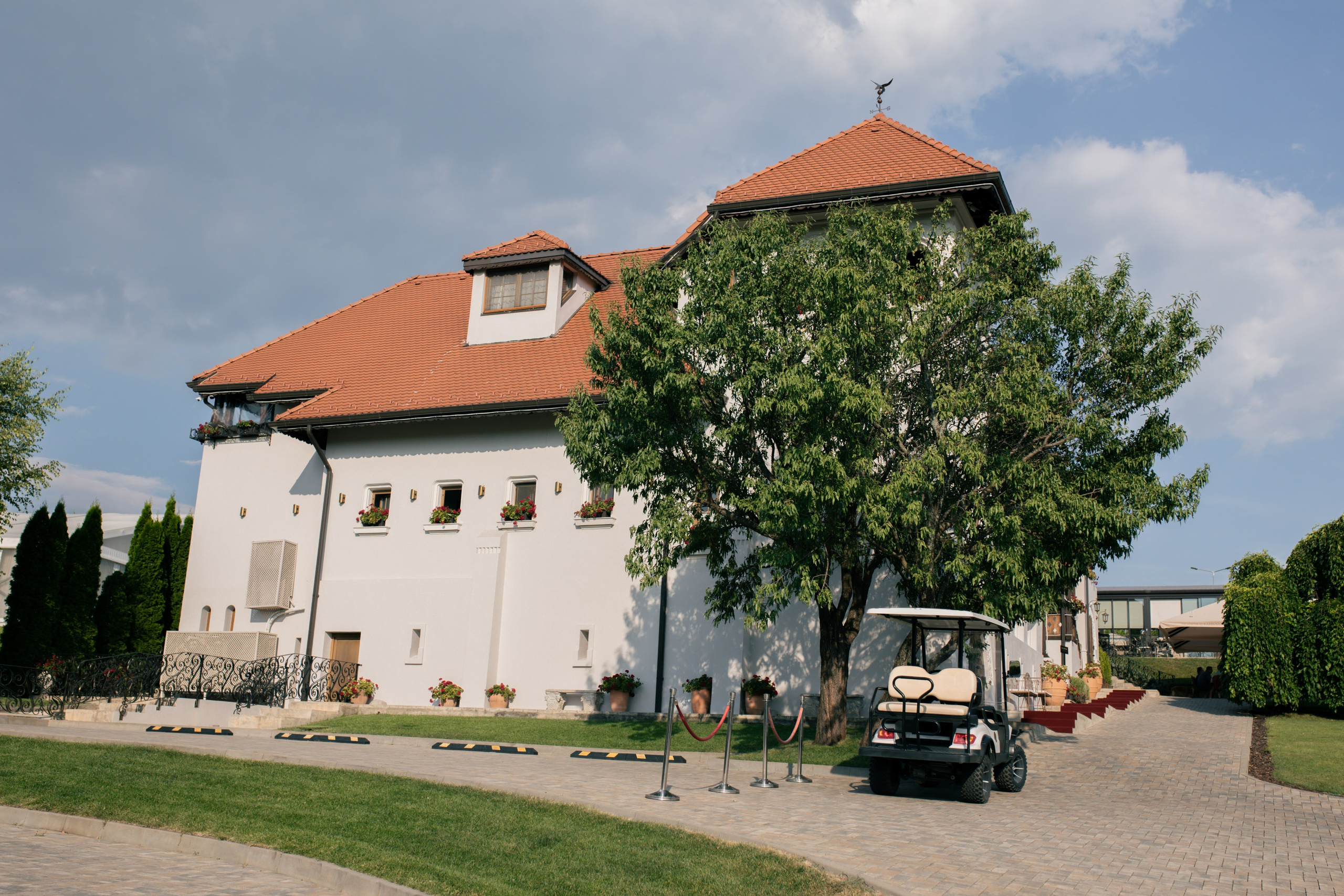 Casa Timis. Patricia Morenci — Mountain Adventures for the Wild at Heart