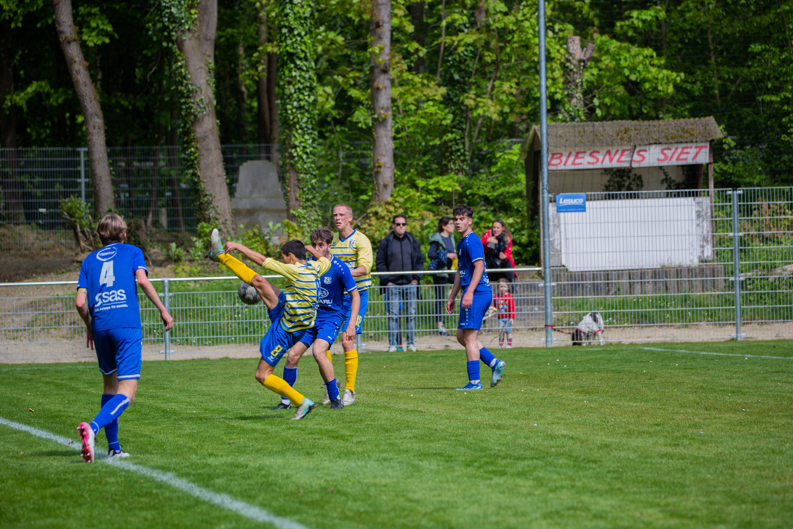 Sports. Family, portrait, and lifestyle photoshoots in Belgium