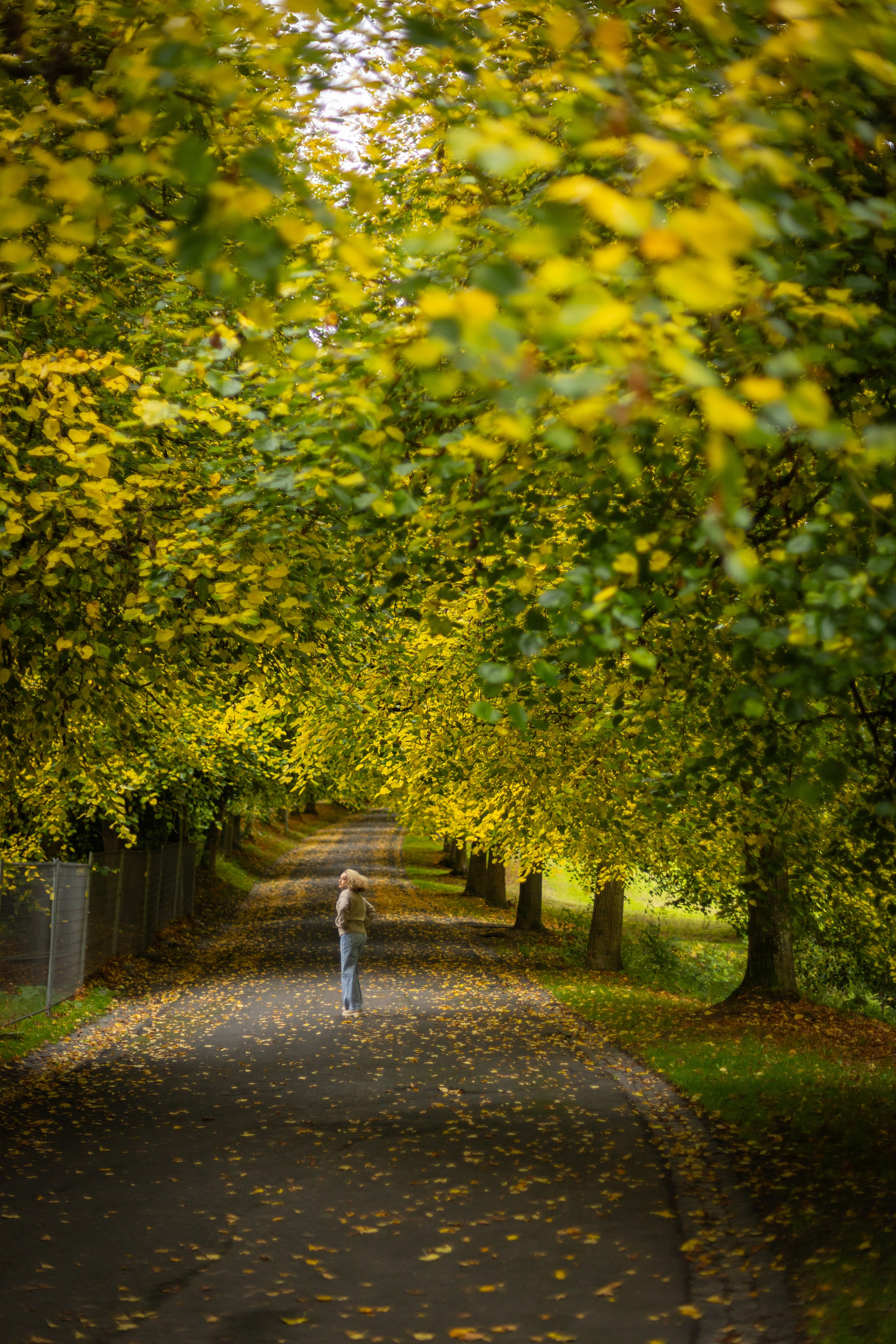 Autumn photos. PHOTOgrapher Germany MARBURG