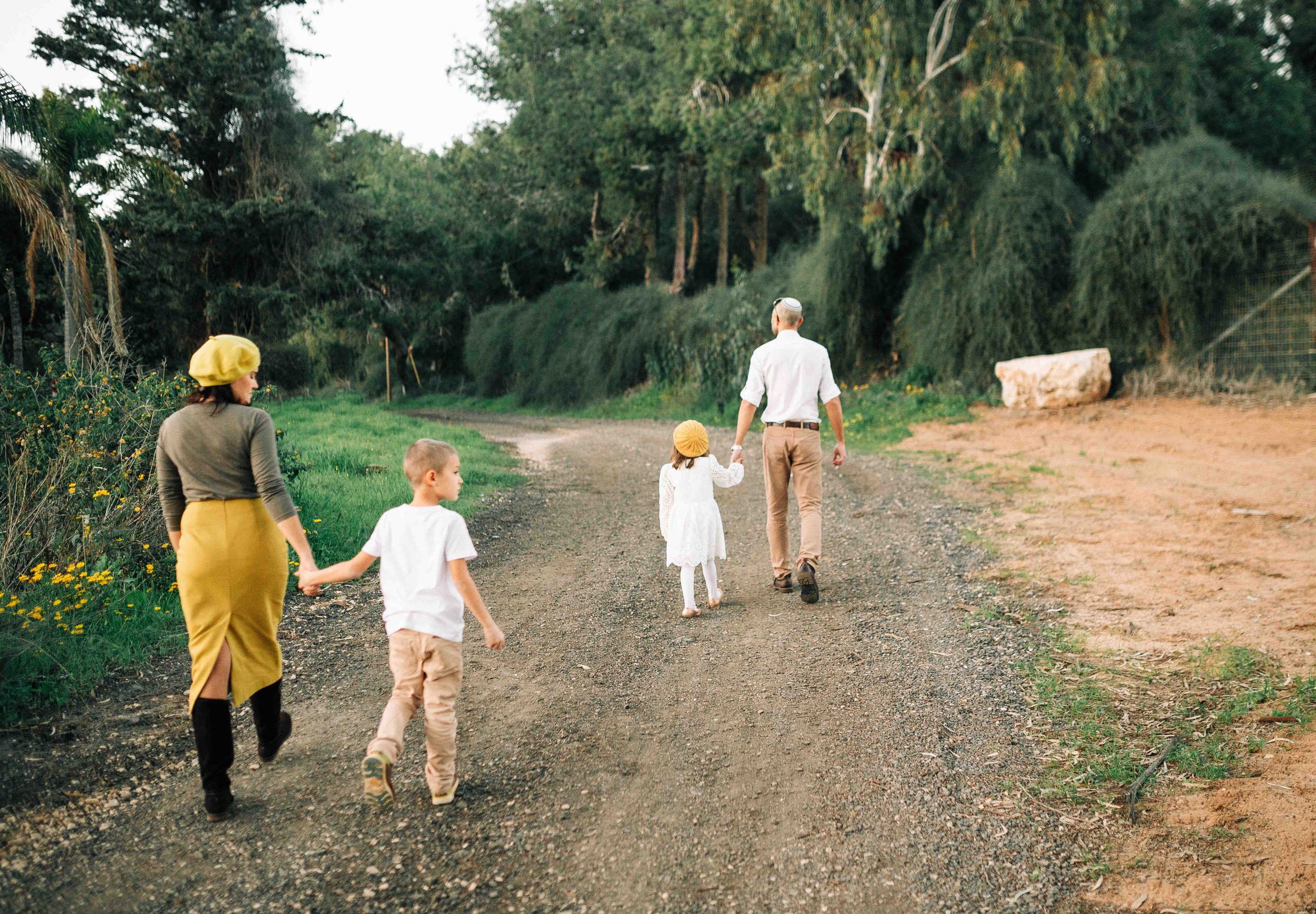 MANDARNINE GARDEN. Https://shi-photo.com/