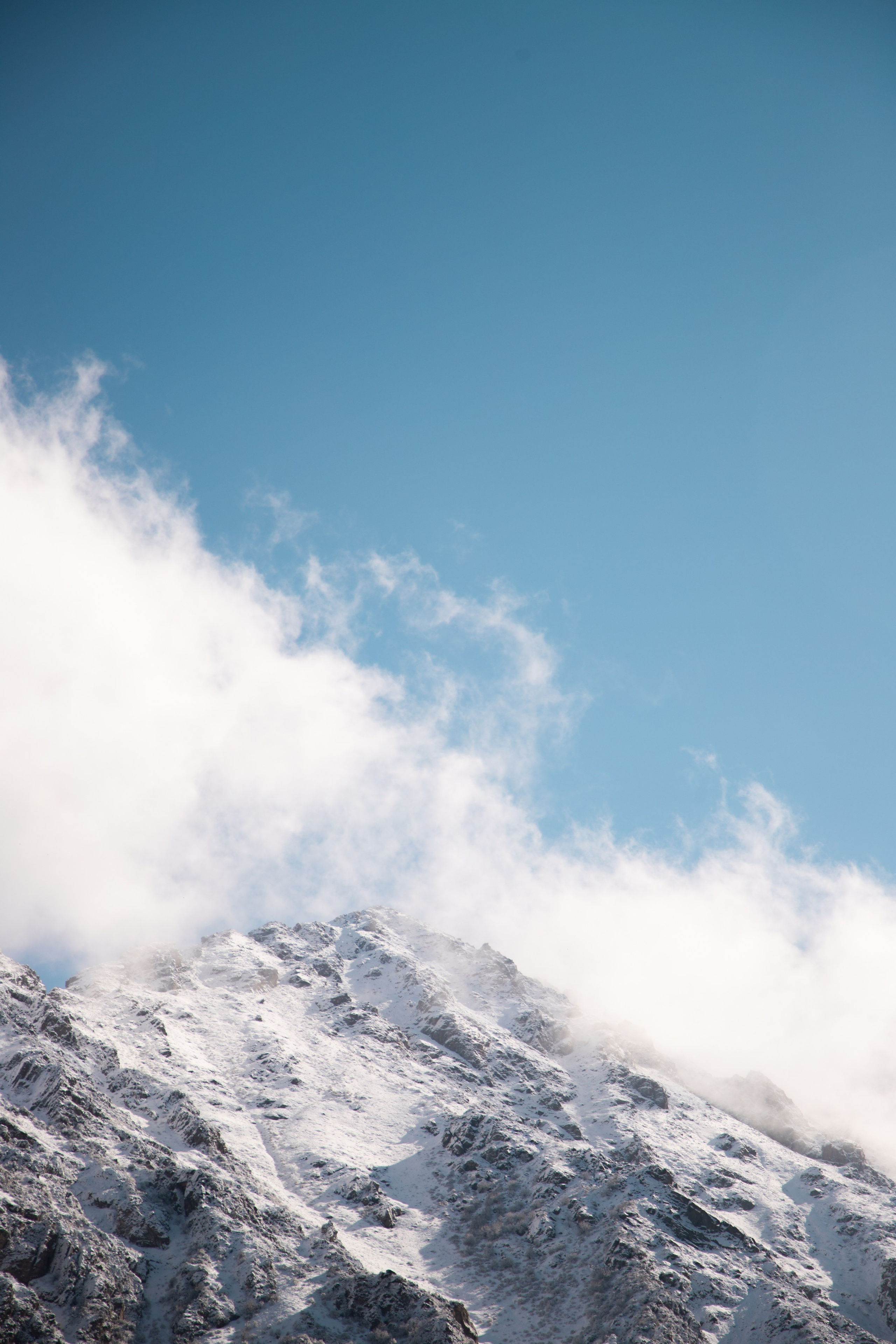 Nature. The Photographer