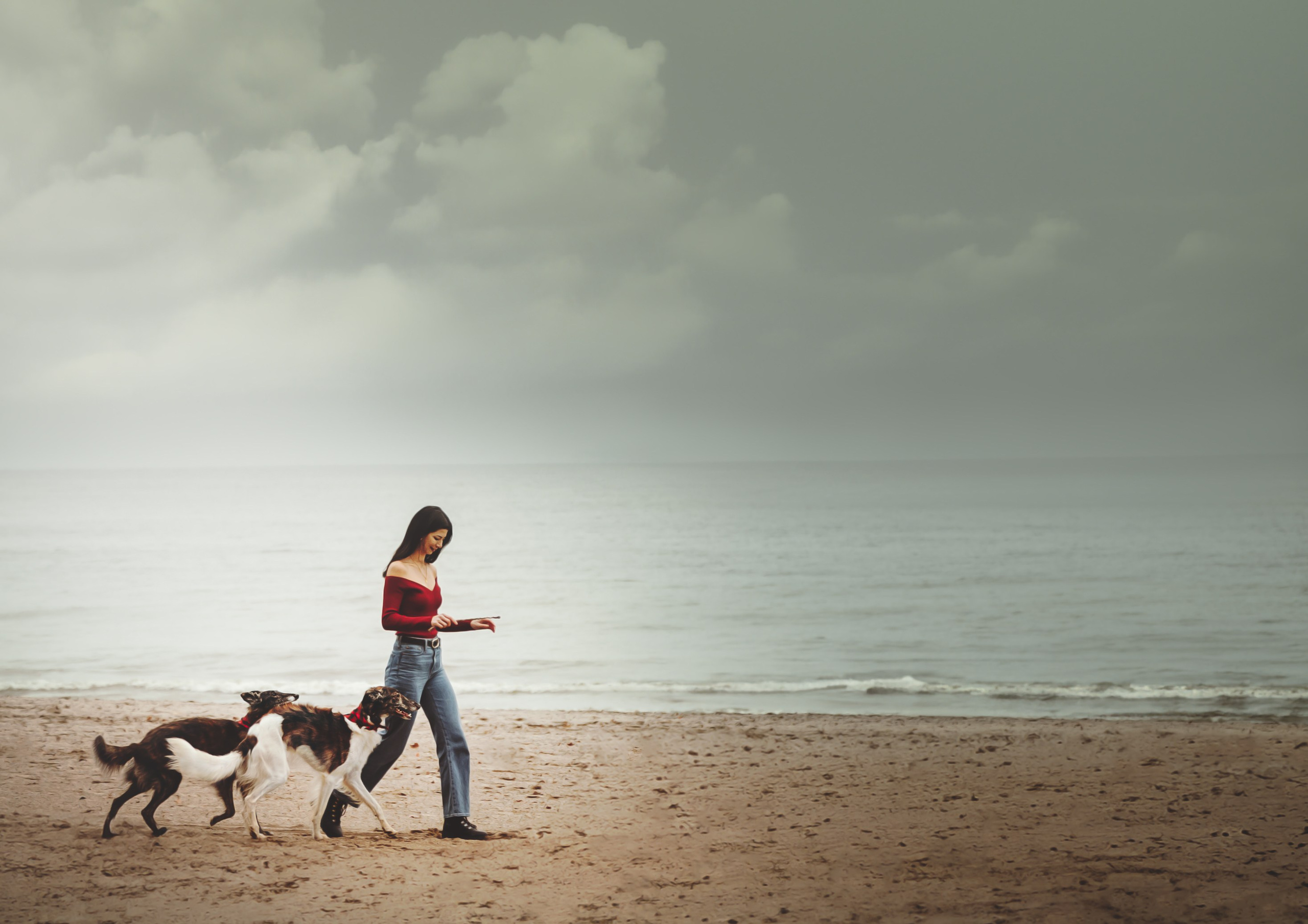 Luca, Oren & Mia. Pet Photographer Viktoriya Aleshenko