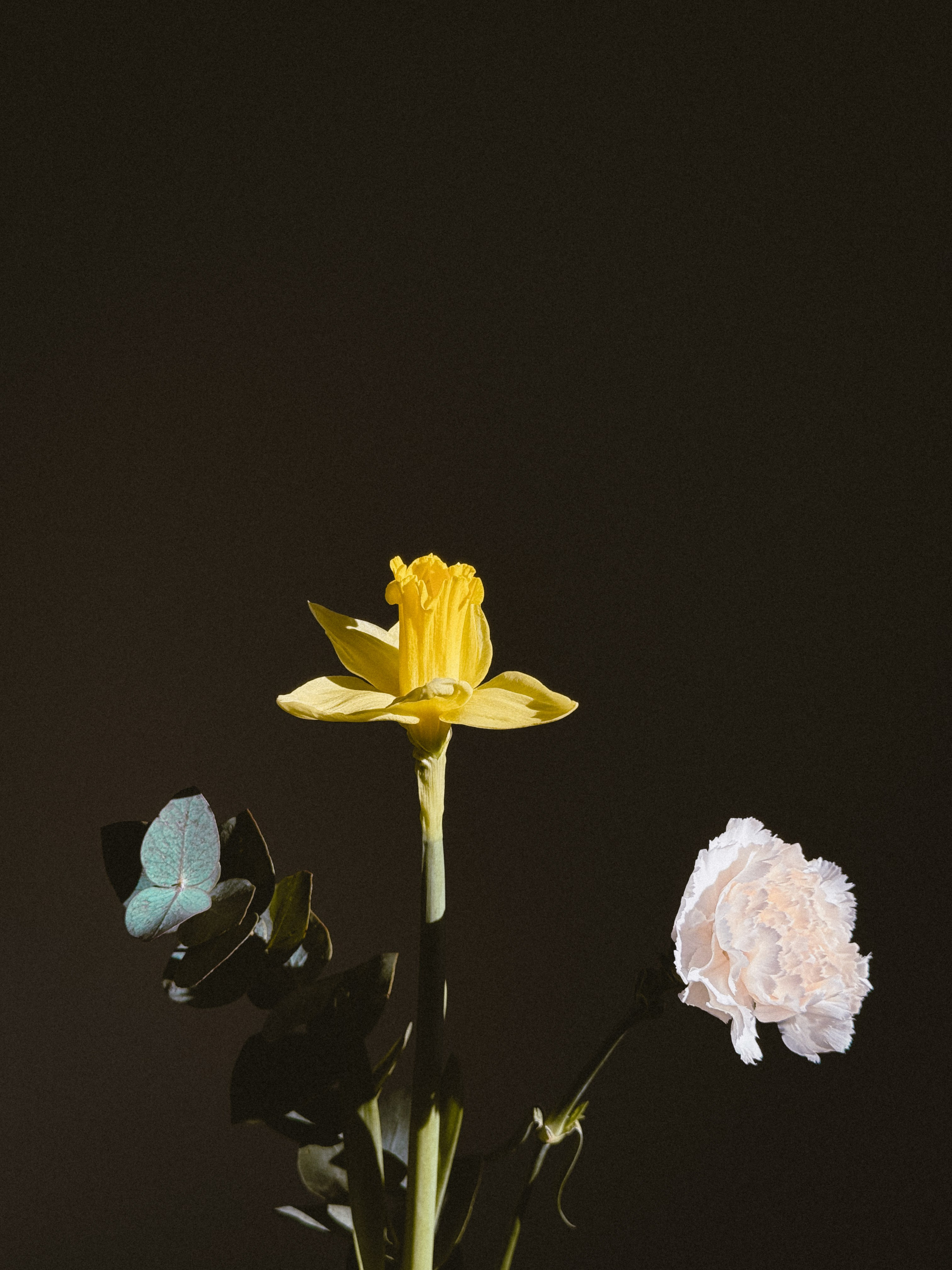 Мобильная съемка. Анастасия Еремина | Фотограф в Сербии | Персональные и бизнес-фотосессии в Белграде и Нови Саде