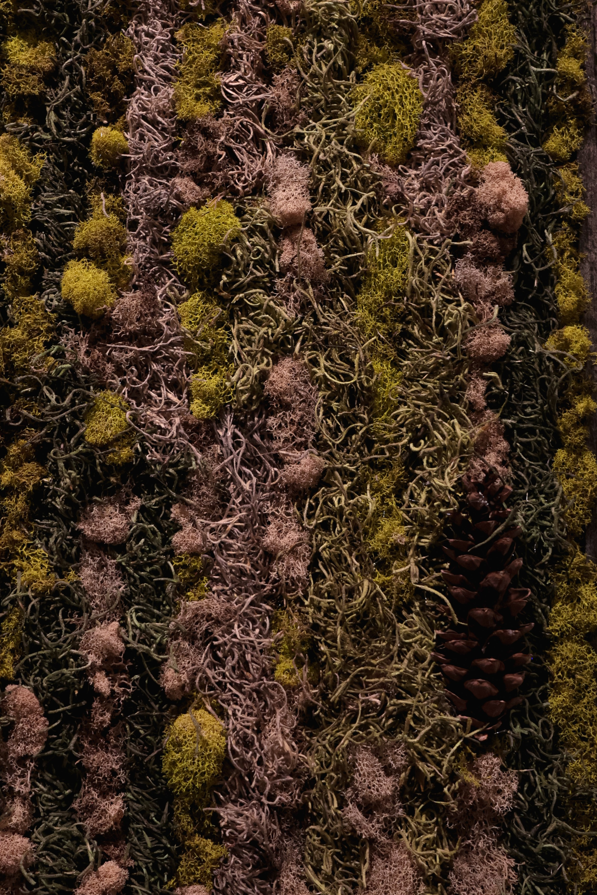 Anna & Moss magic, Content. Yana Bobrova | Artistic Photography