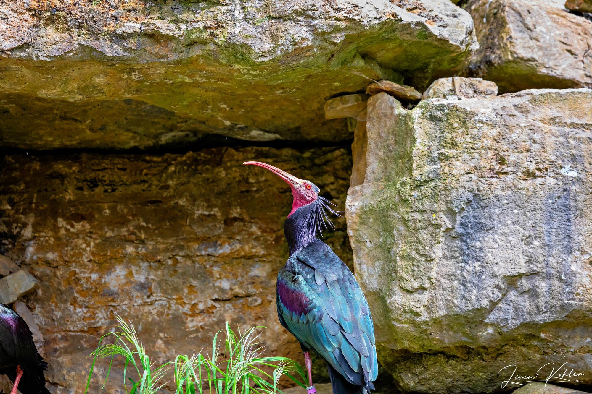 Wildpark Bad Mergentheim. FOTO KREATIV