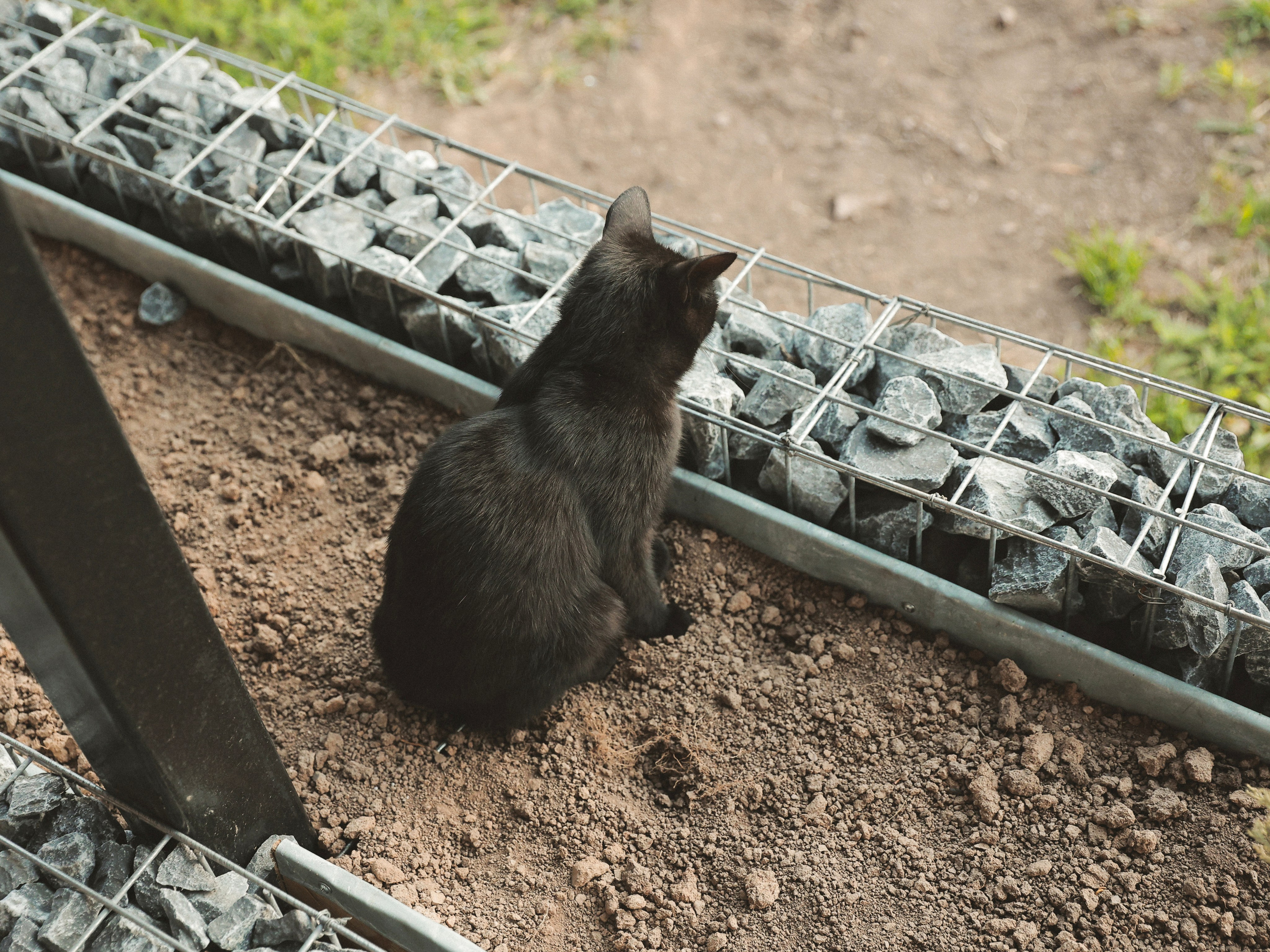 Miluji tě. Валерия Вартанова. Фотограф