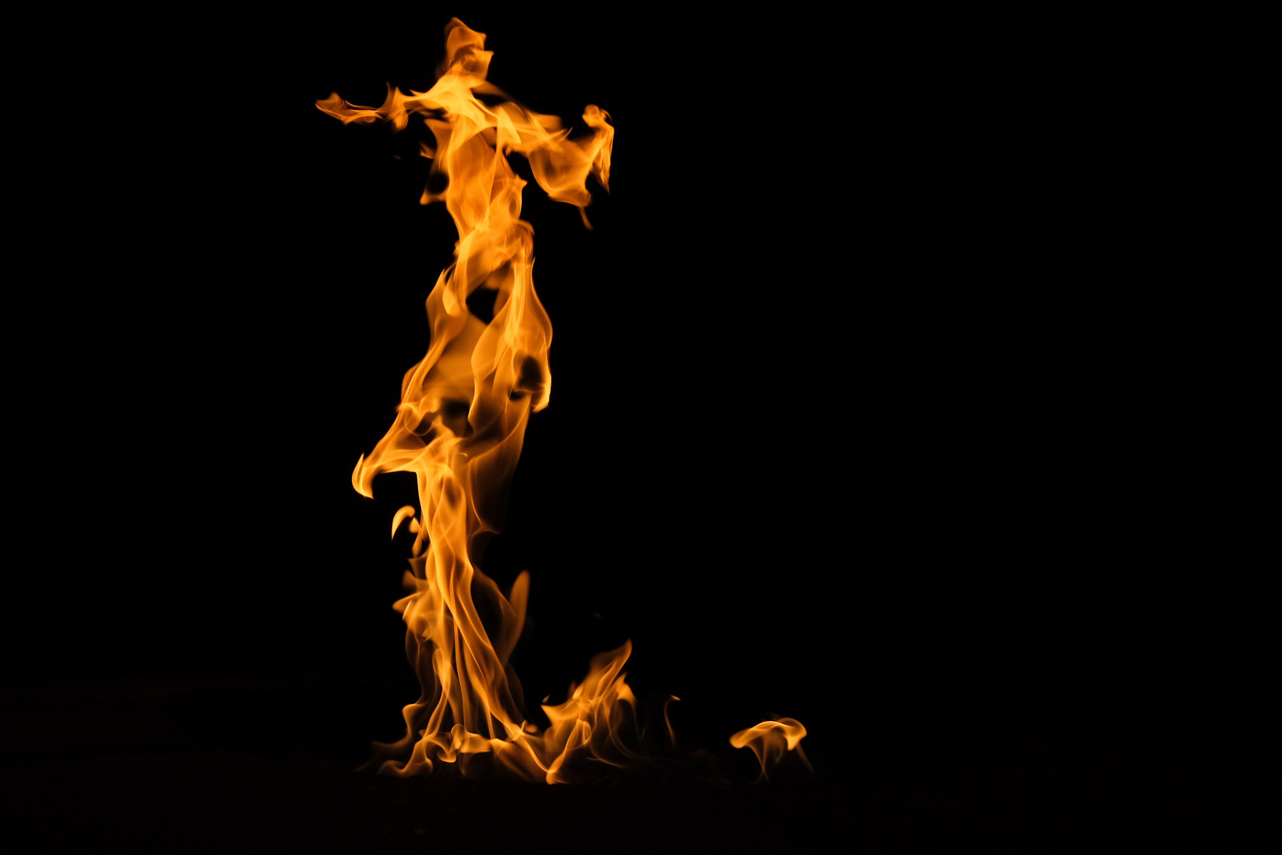 VATRA. Reportage concert portrait photography in the San Francisco Bay Area