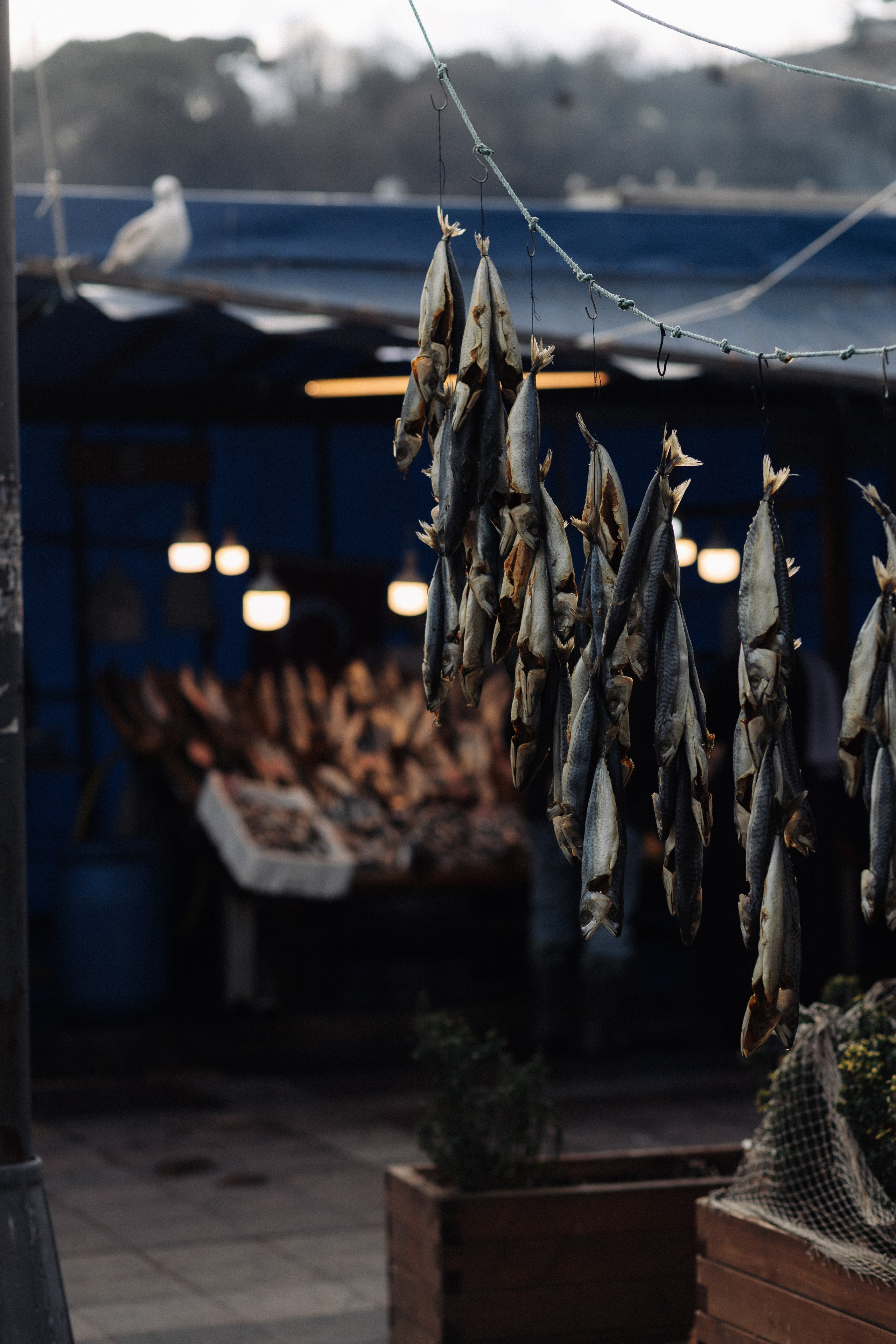 Стамбул. Фотопрогулки в Стамбуле