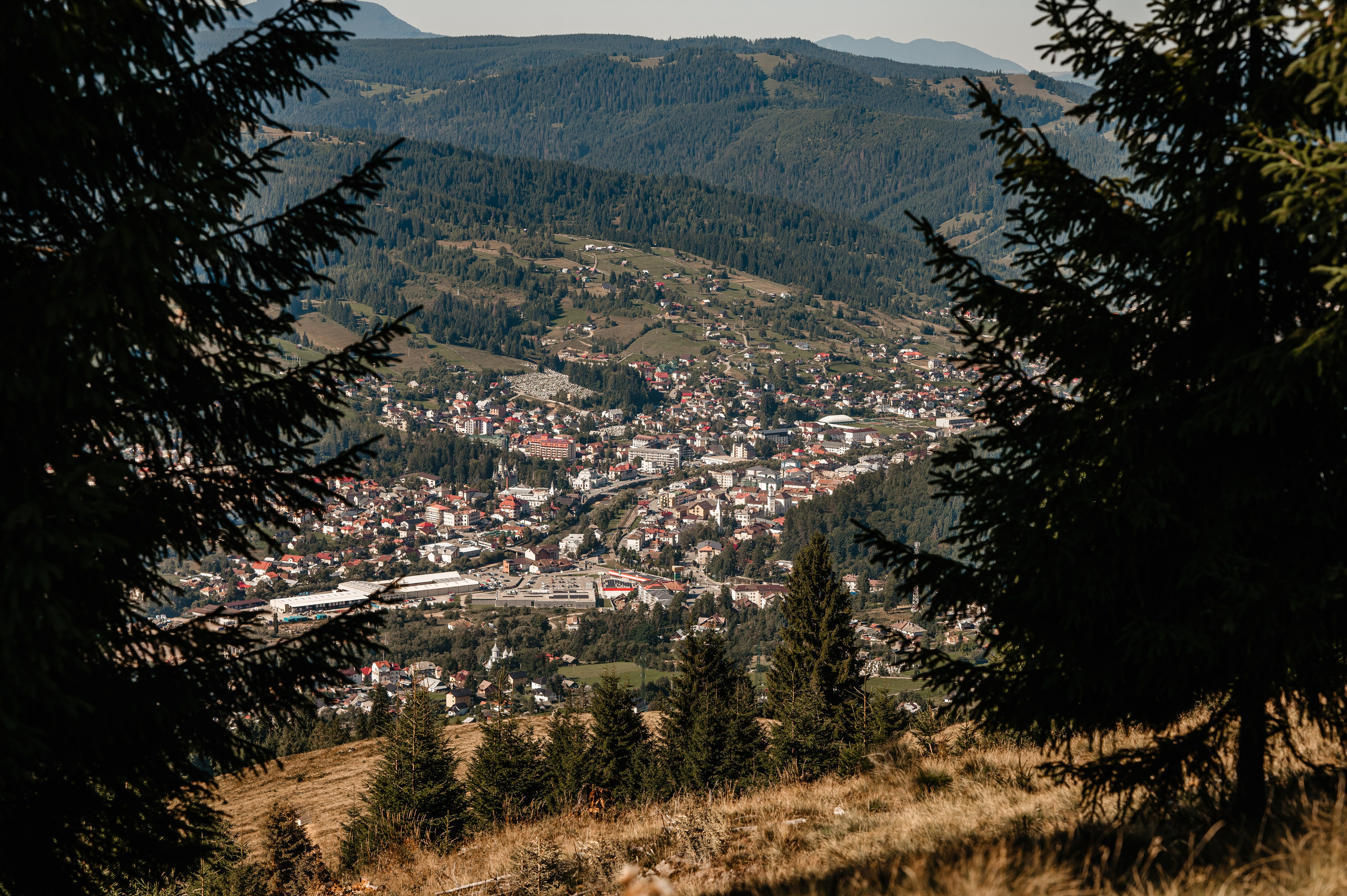 Timeless Bucovina