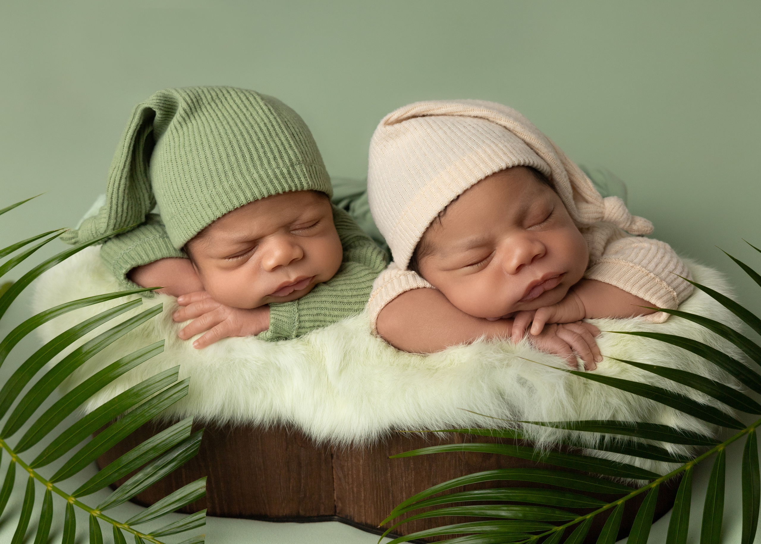Newborn photos. Newborn photographer in Tampa Bay Area, FL