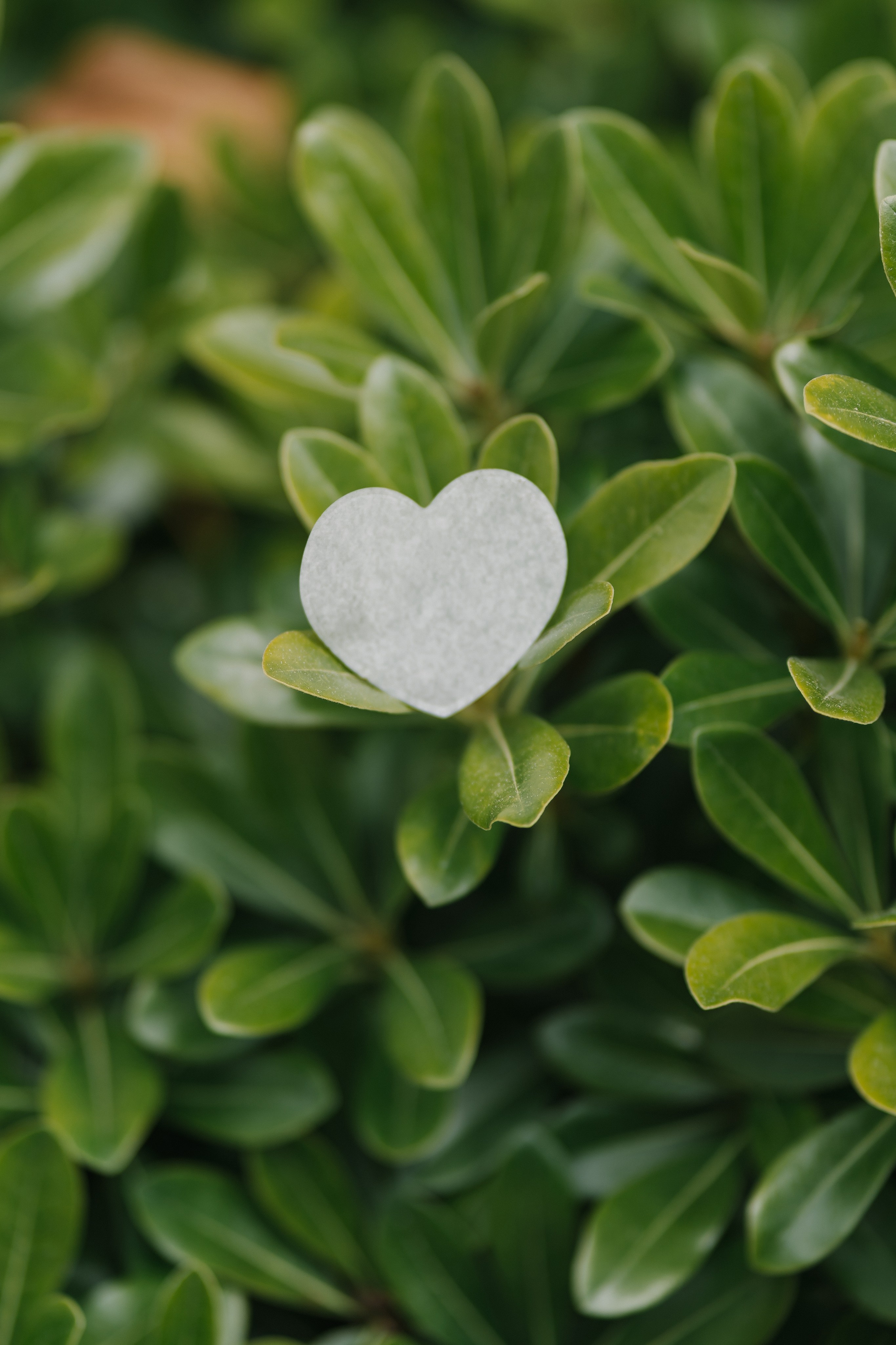 A&L. Fotógrafa de bodas y familias en España, Valencia: Nadia ProFoto