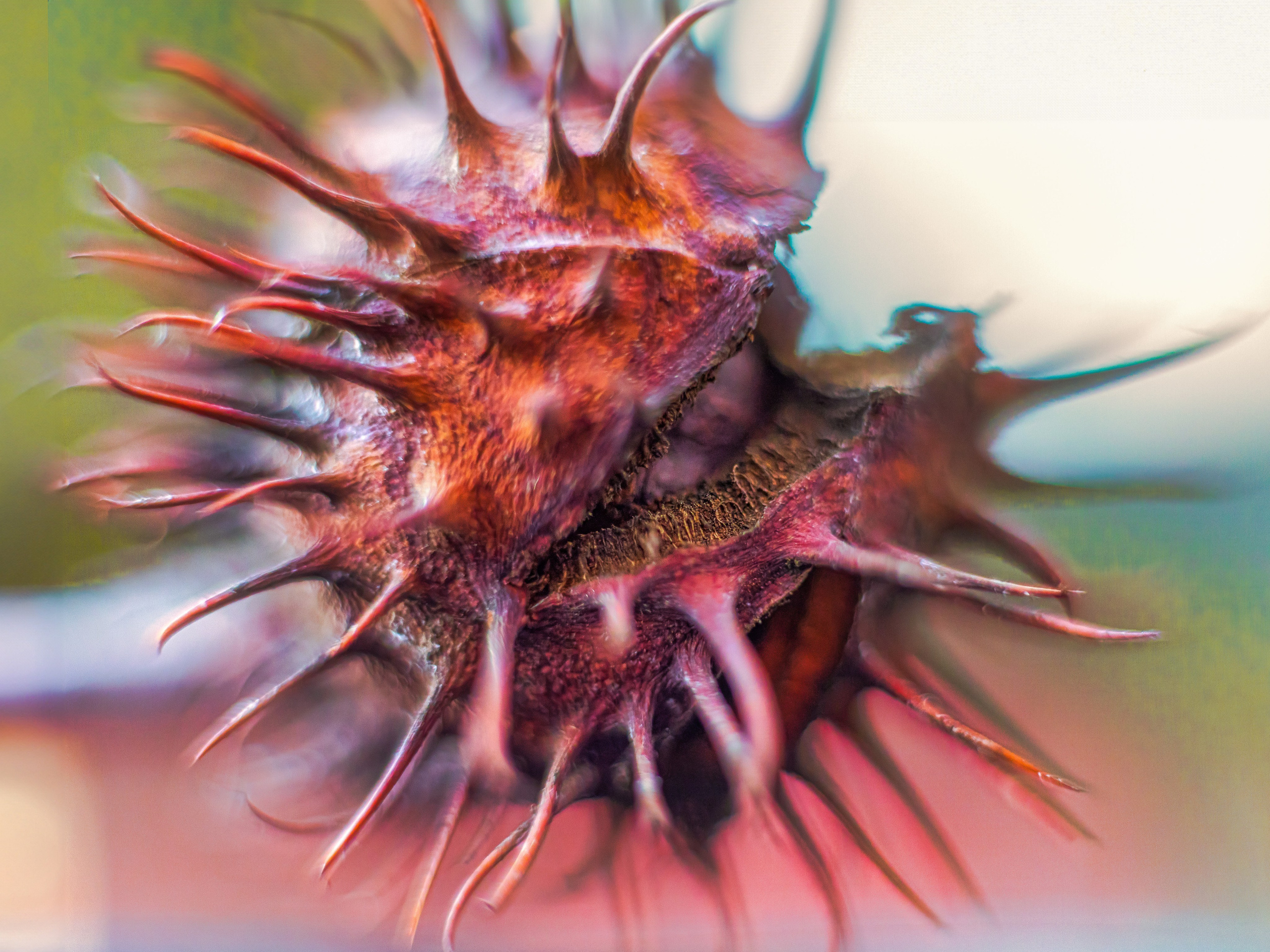 Portret bebeluș la botez realizat de Mitroi Iulian