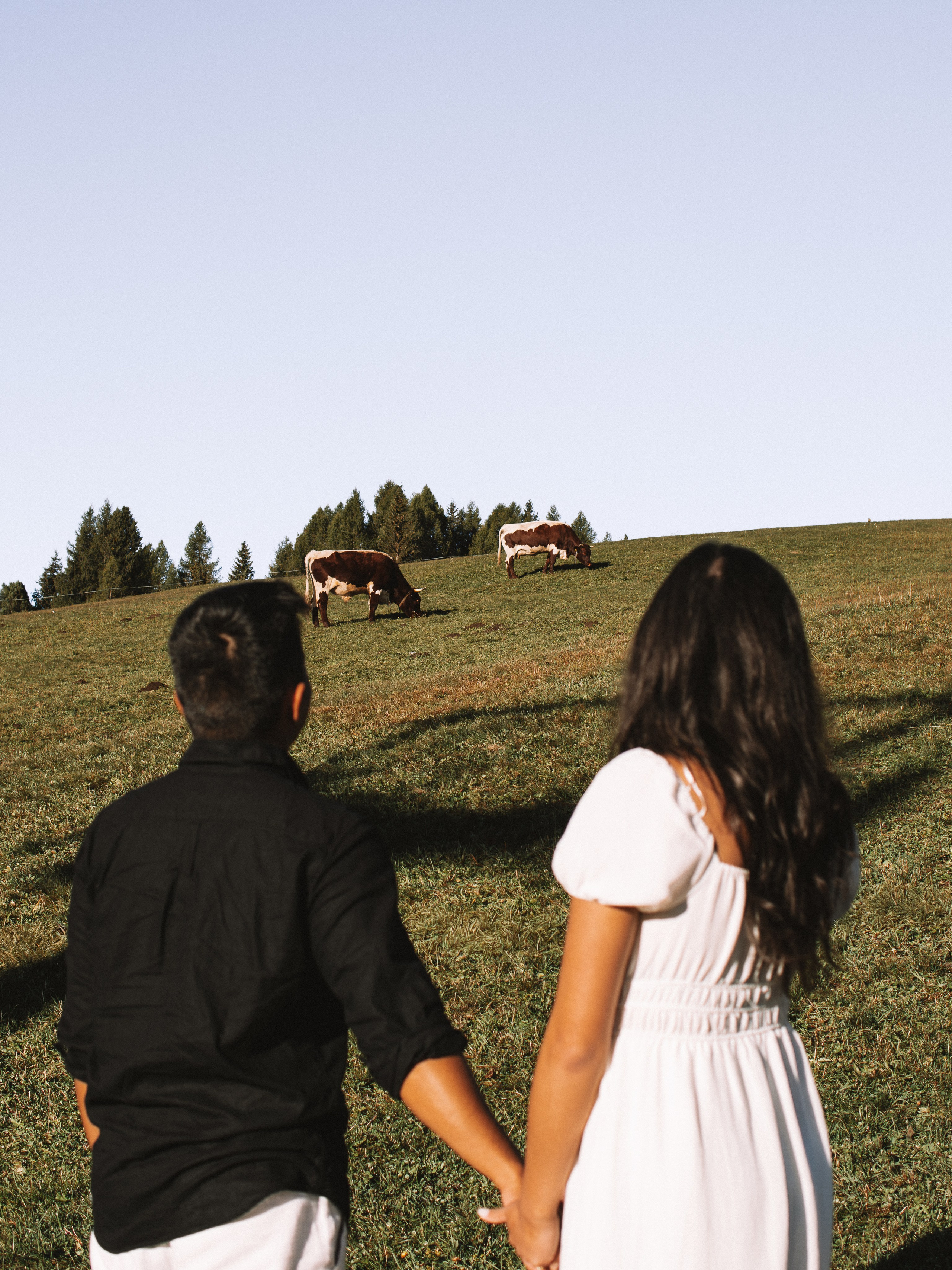 Vows Meant for Forever — Dolomites, Italy. Art of Light Photography