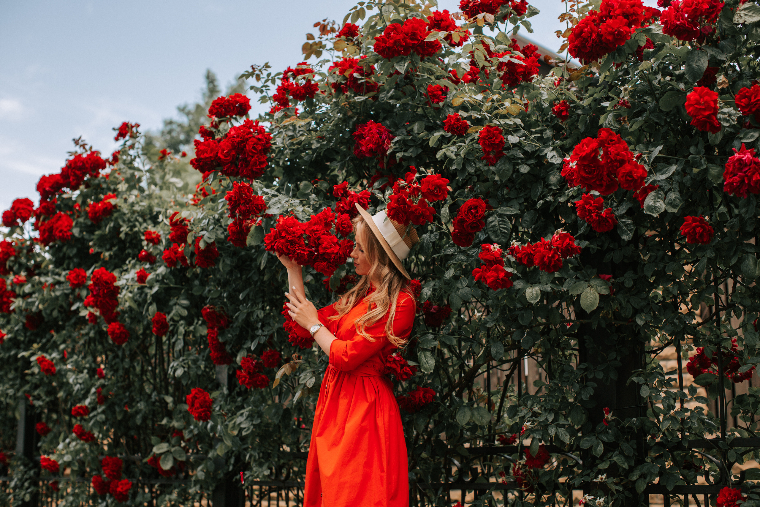 Roter Anruf. Familien- und Hochzeitsfotografin in Frankfurt am Main Alina Braun