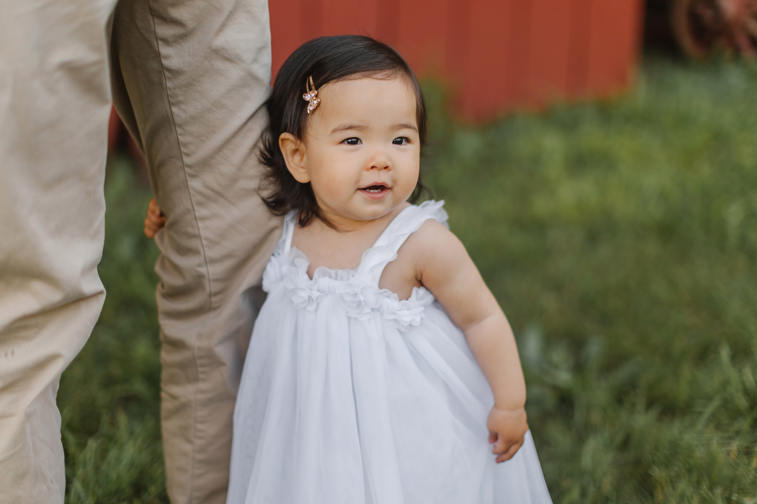 05.25.26 Family Photoshoot. Wedding family event photographer in Chicago Nick Yushevich