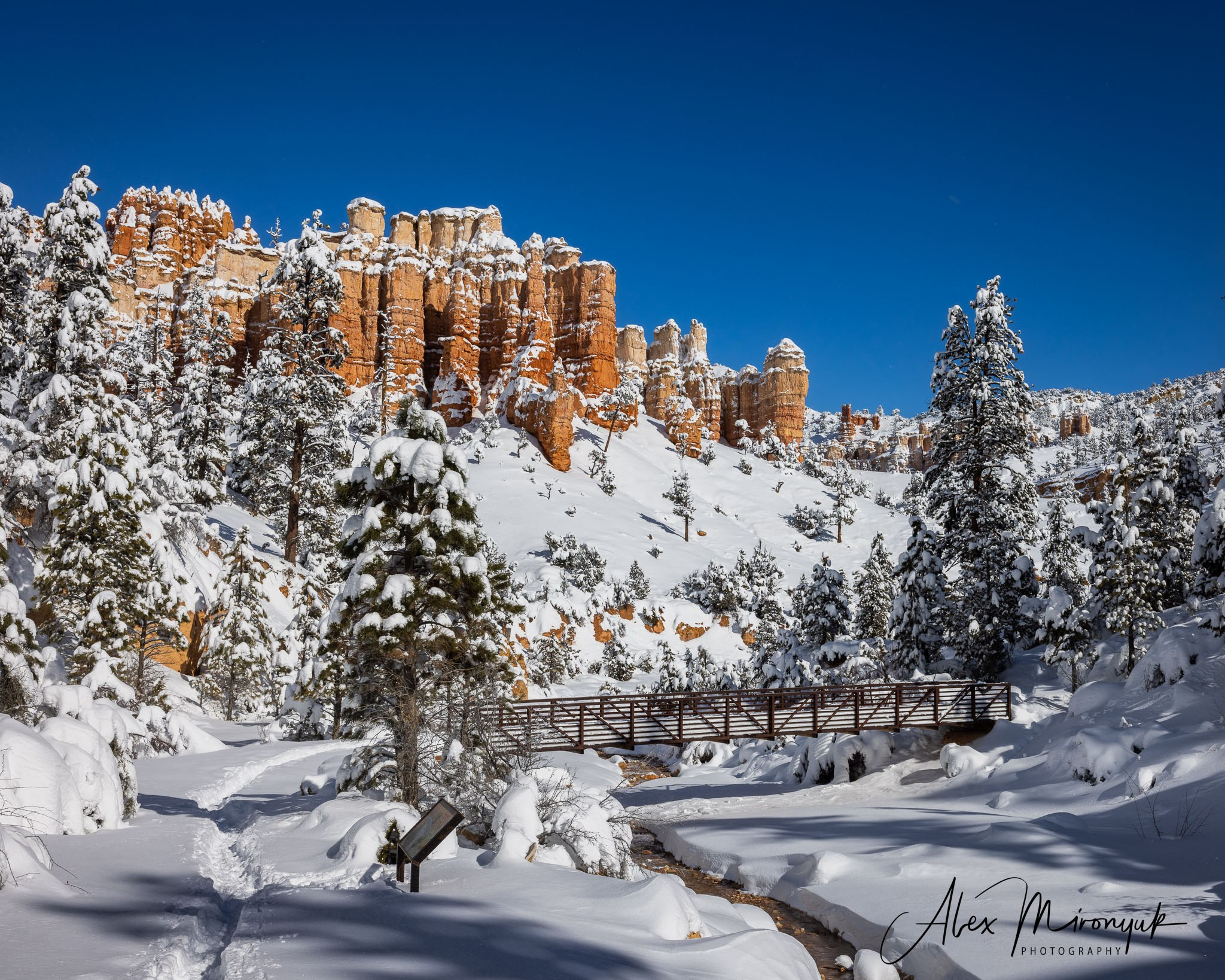 New Year In Utah. Pet, Senior, Landscape, portrait studio, photographer in Miami and Sou
