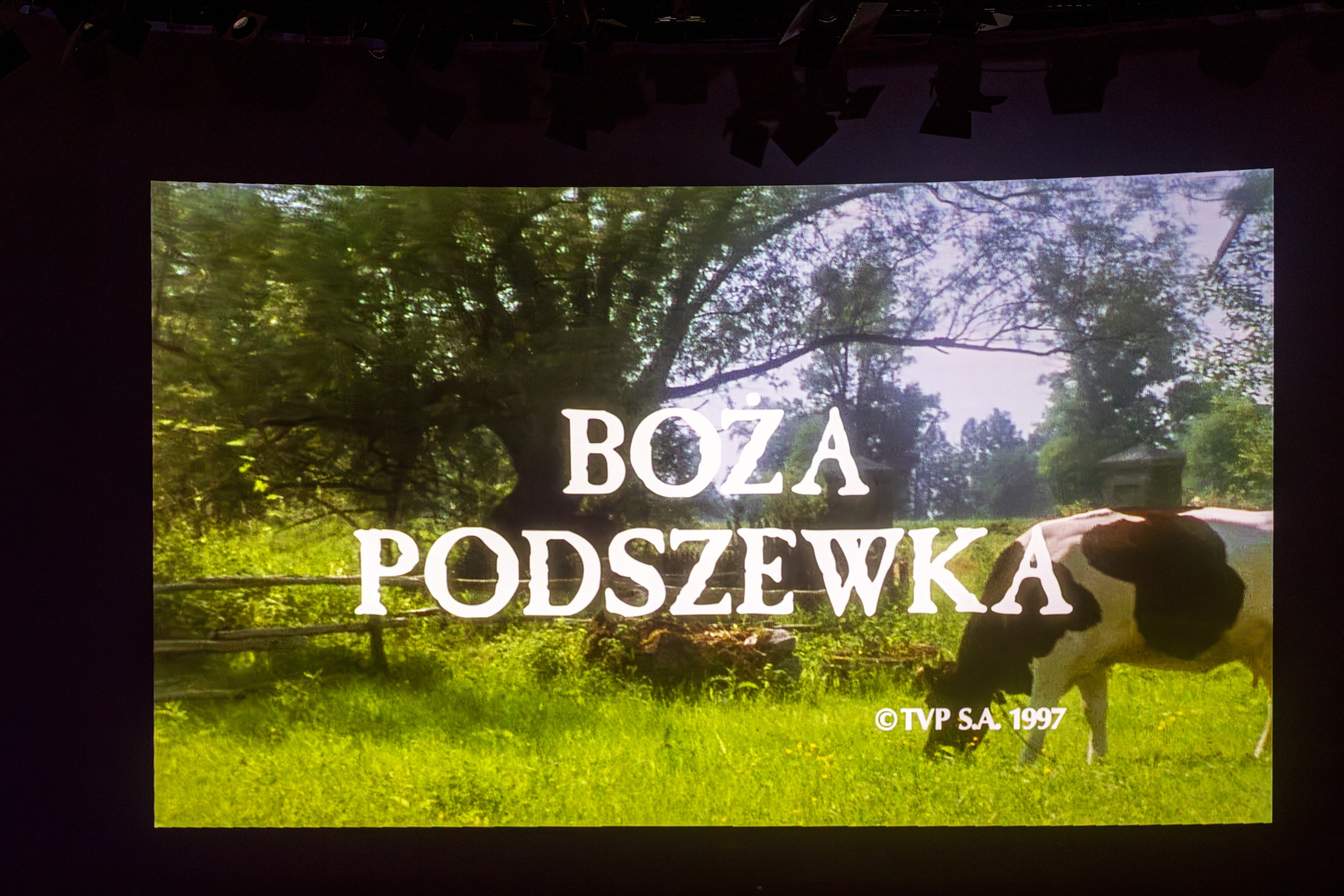 Pamiętajmy o Cywińskiej. Przemek P Kaczmarek