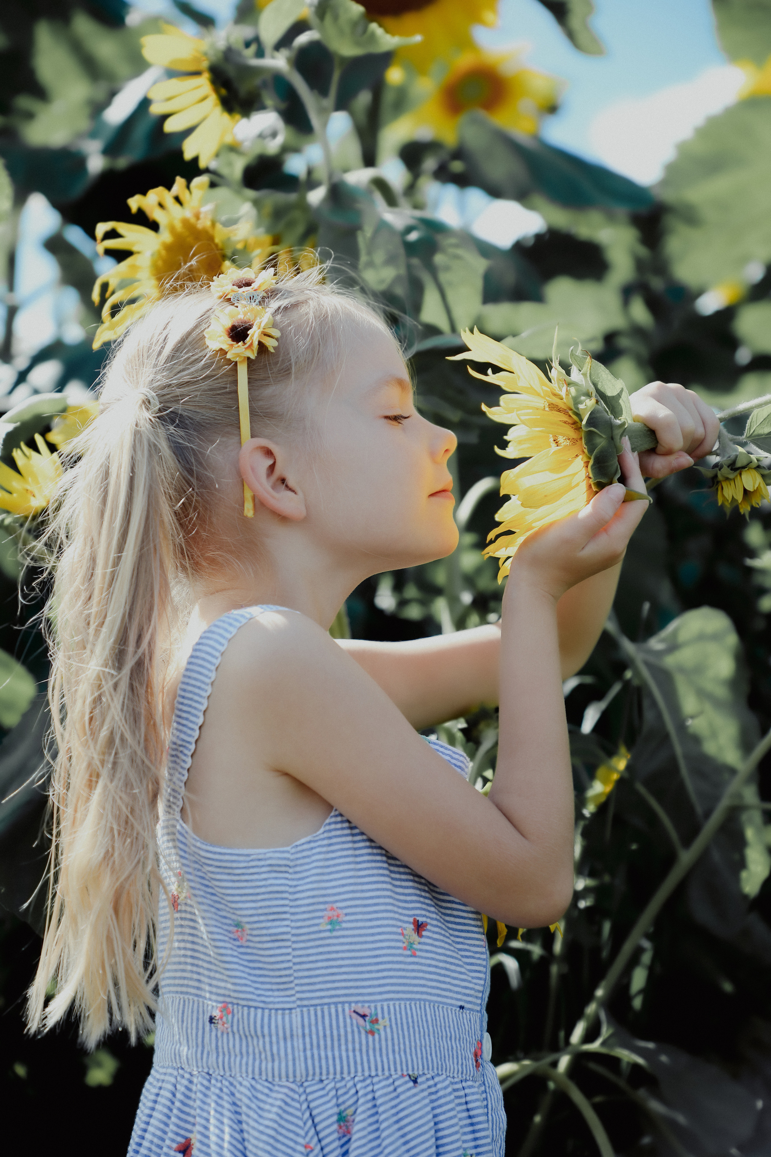Sunflowers&Aurelija. PORTRAIT|FAMILY|CHILDREN|BRAND PHOTOGRAPHER UK, CAMBRIDGESHIRE