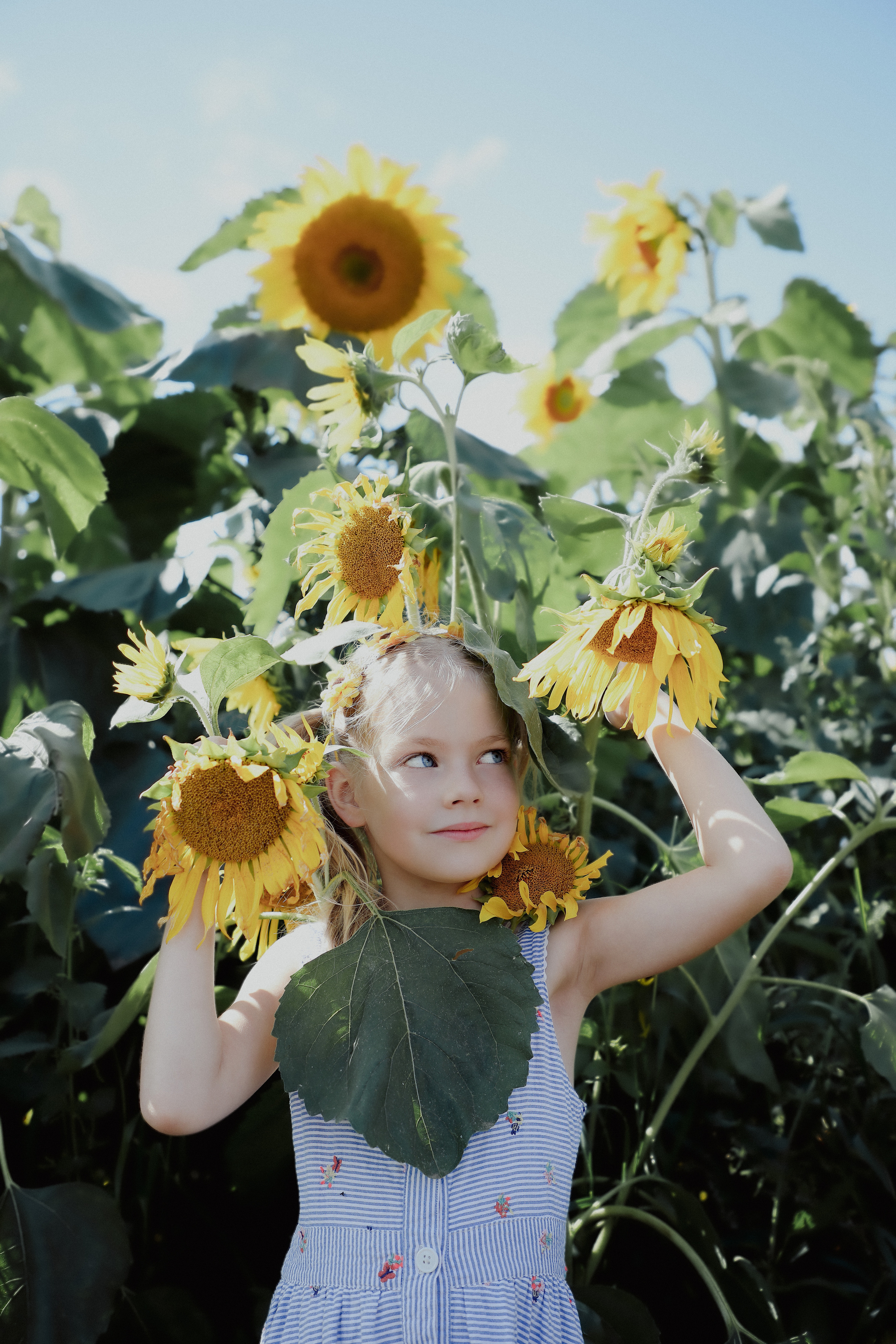 Sunflowers&Aurelija. PORTRAIT|FAMILY|CHILDREN|BRAND PHOTOGRAPHER UK, CAMBRIDGESHIRE