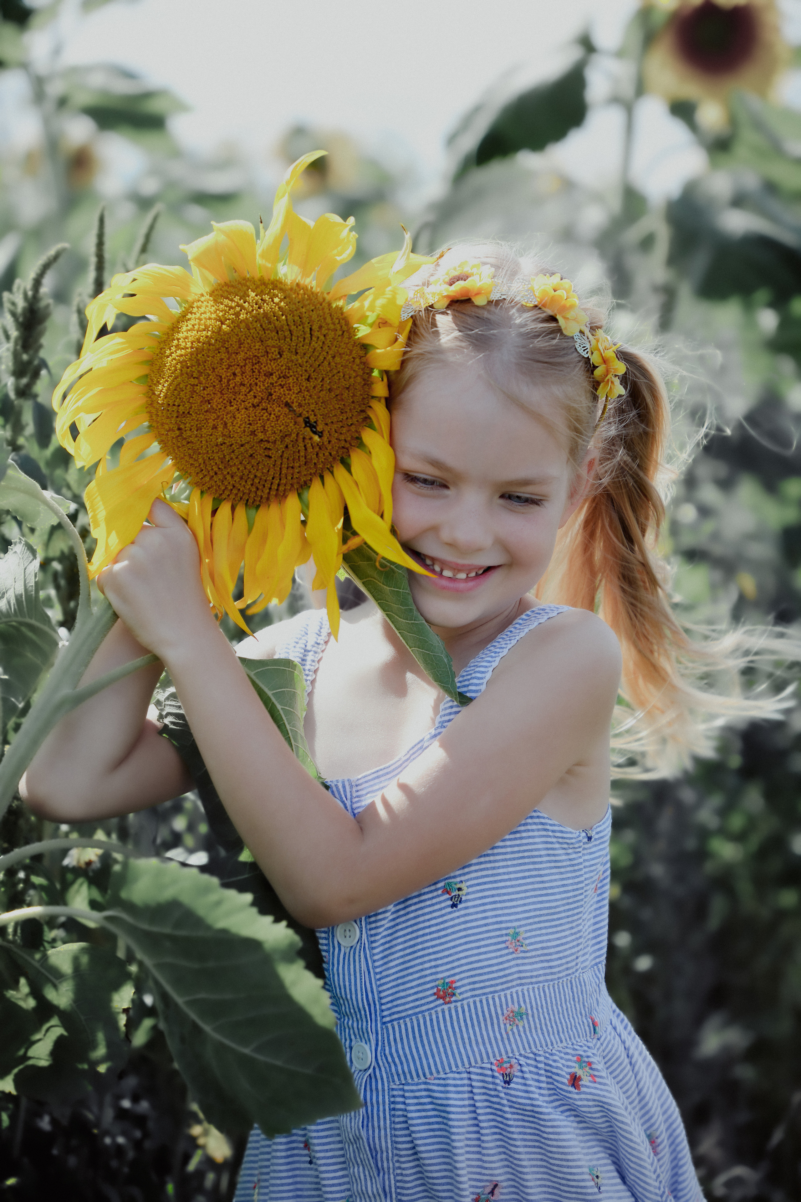 Sunflowers&Aurelija. PORTRAIT|FAMILY|CHILDREN|BRAND PHOTOGRAPHER UK, CAMBRIDGESHIRE