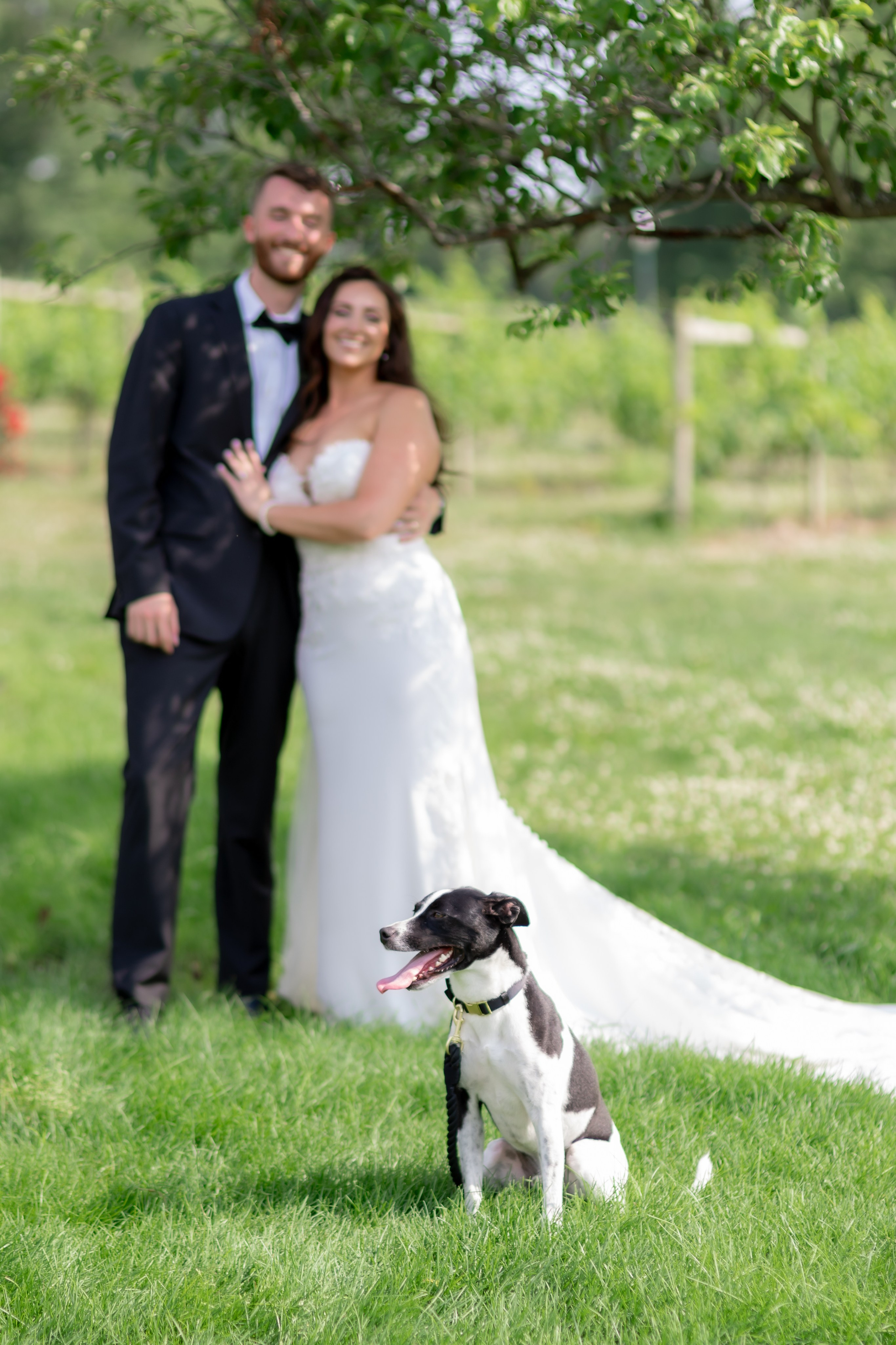 Angelica & Conor. Wedding Photo & Video