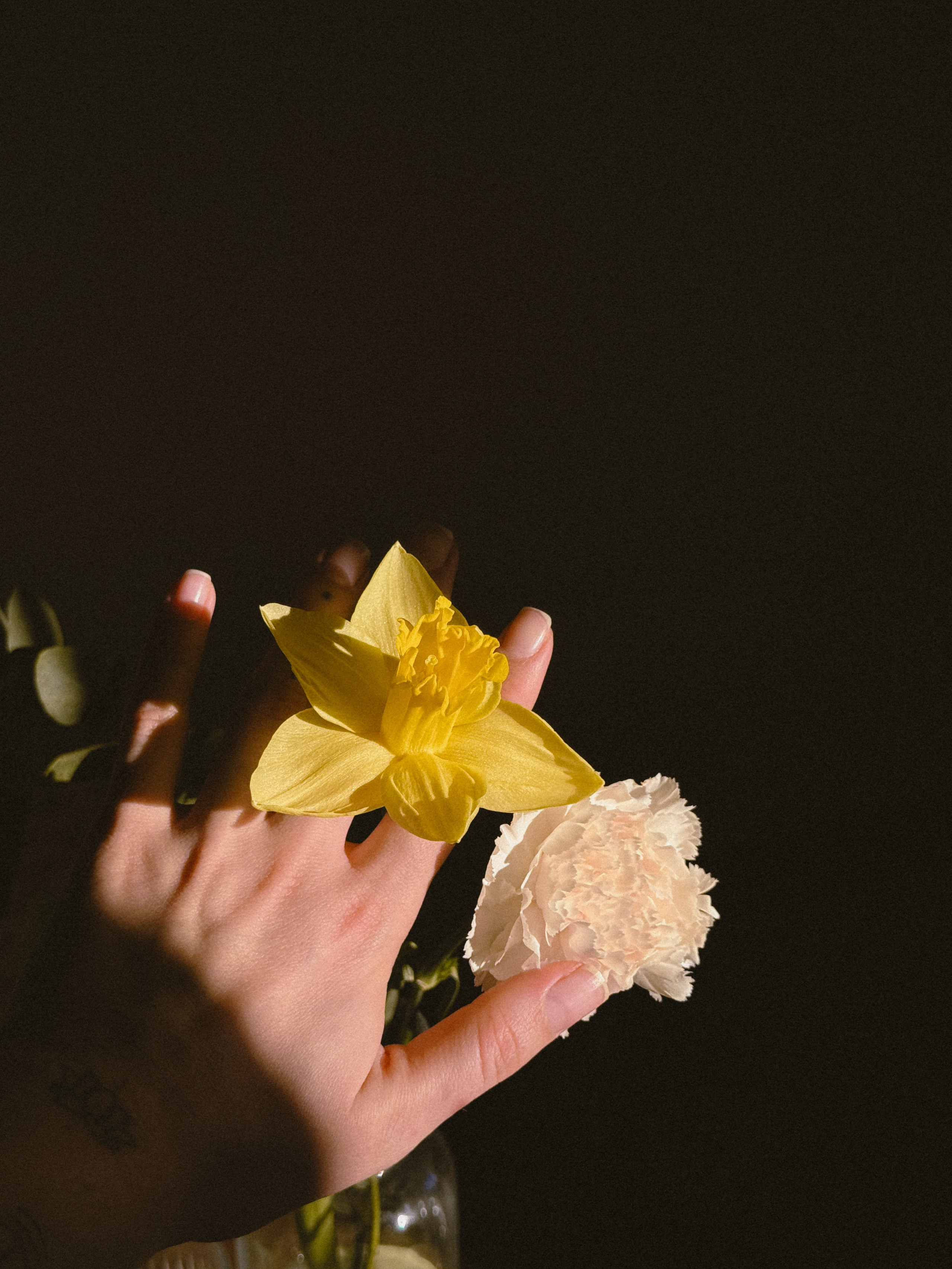 Мобильная съемка. Анастасия Еремина | Фотограф в Сербии | Персональные и бизнес-фотосессии в Белграде и Нови Саде