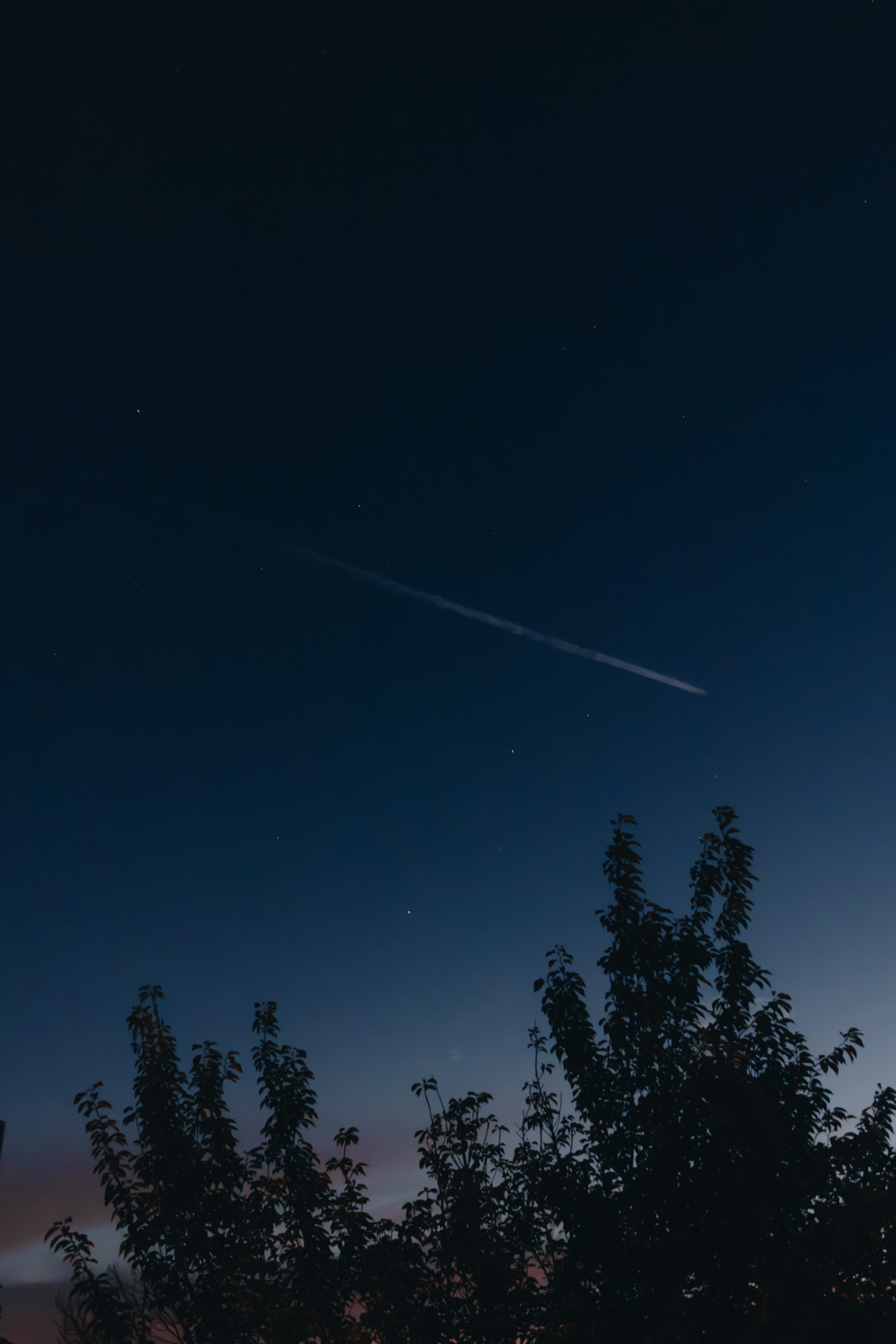 Coleman & Erenia Wedding in Napa | Georgy Shishkin Photography. Portland & Seattle Wedding, Elopement & Engagement Photographer | Georgy Shishkin